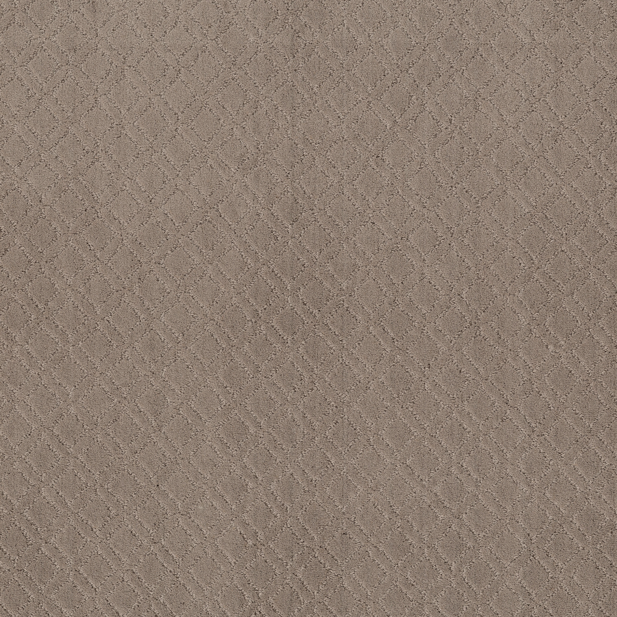 Dream Line-Socialite-ZZB78_00851