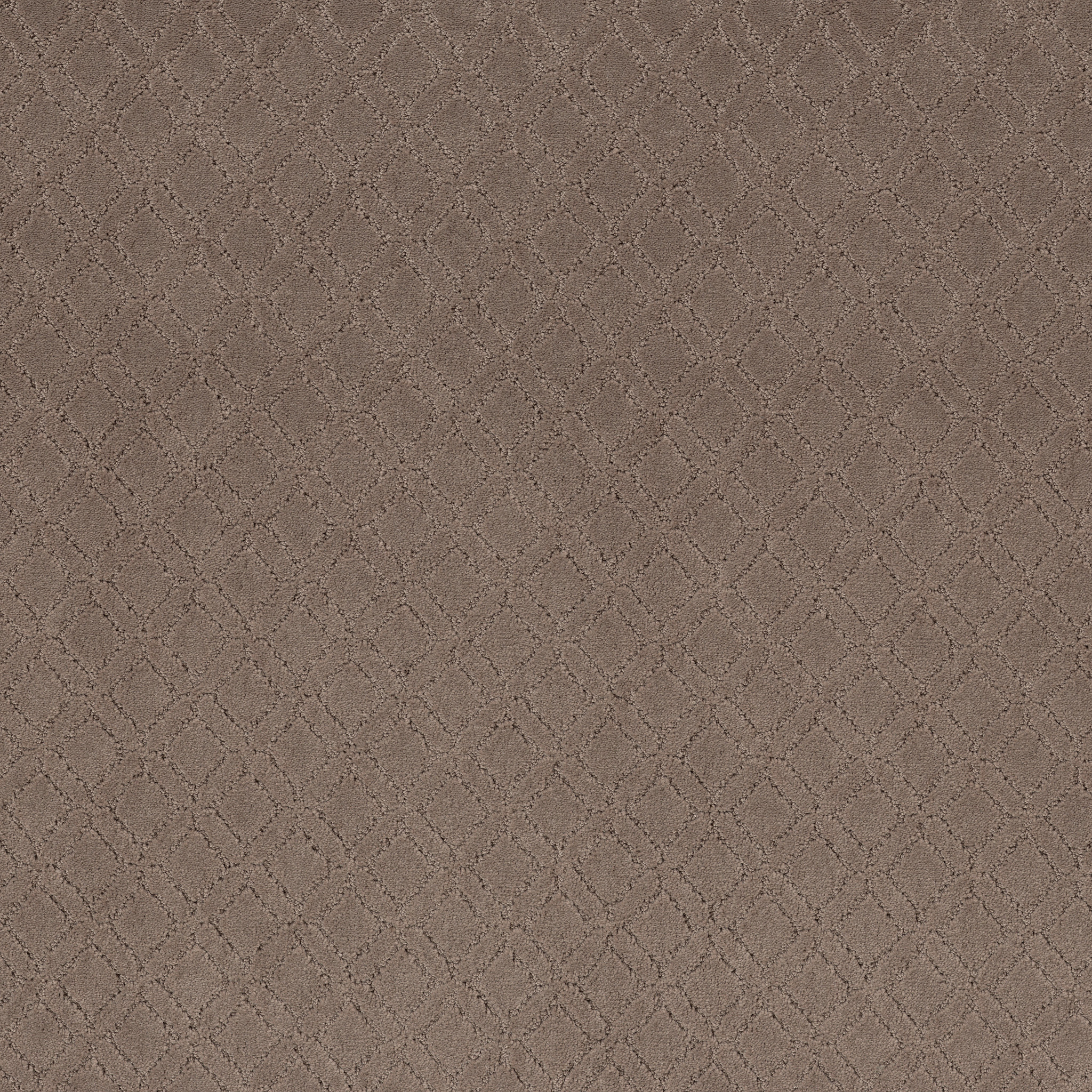 Dream Line - Enigma - ZZB78_00854