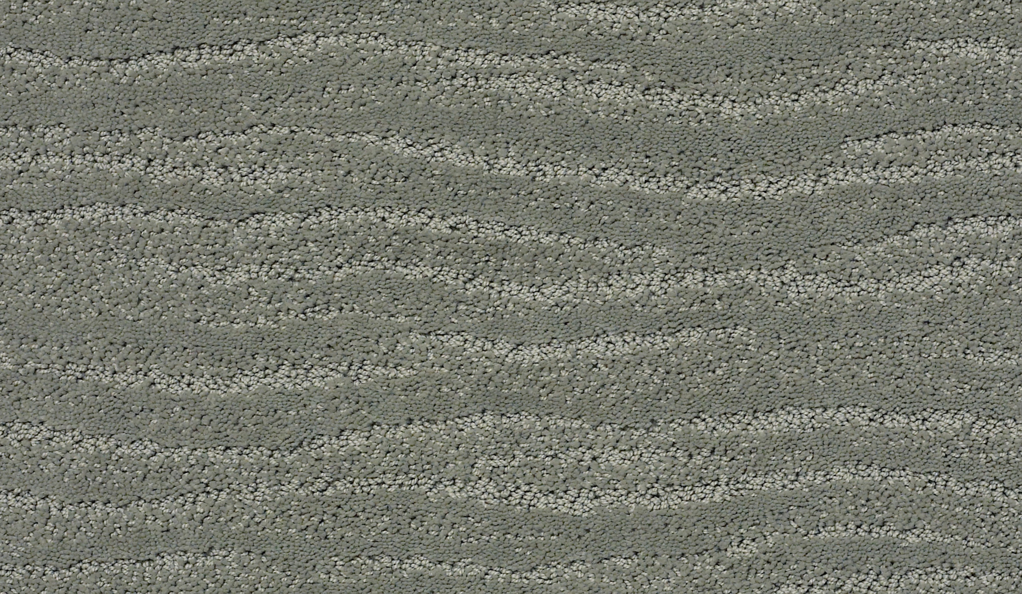 Original Art-Pine Forest-ZZB79_00314