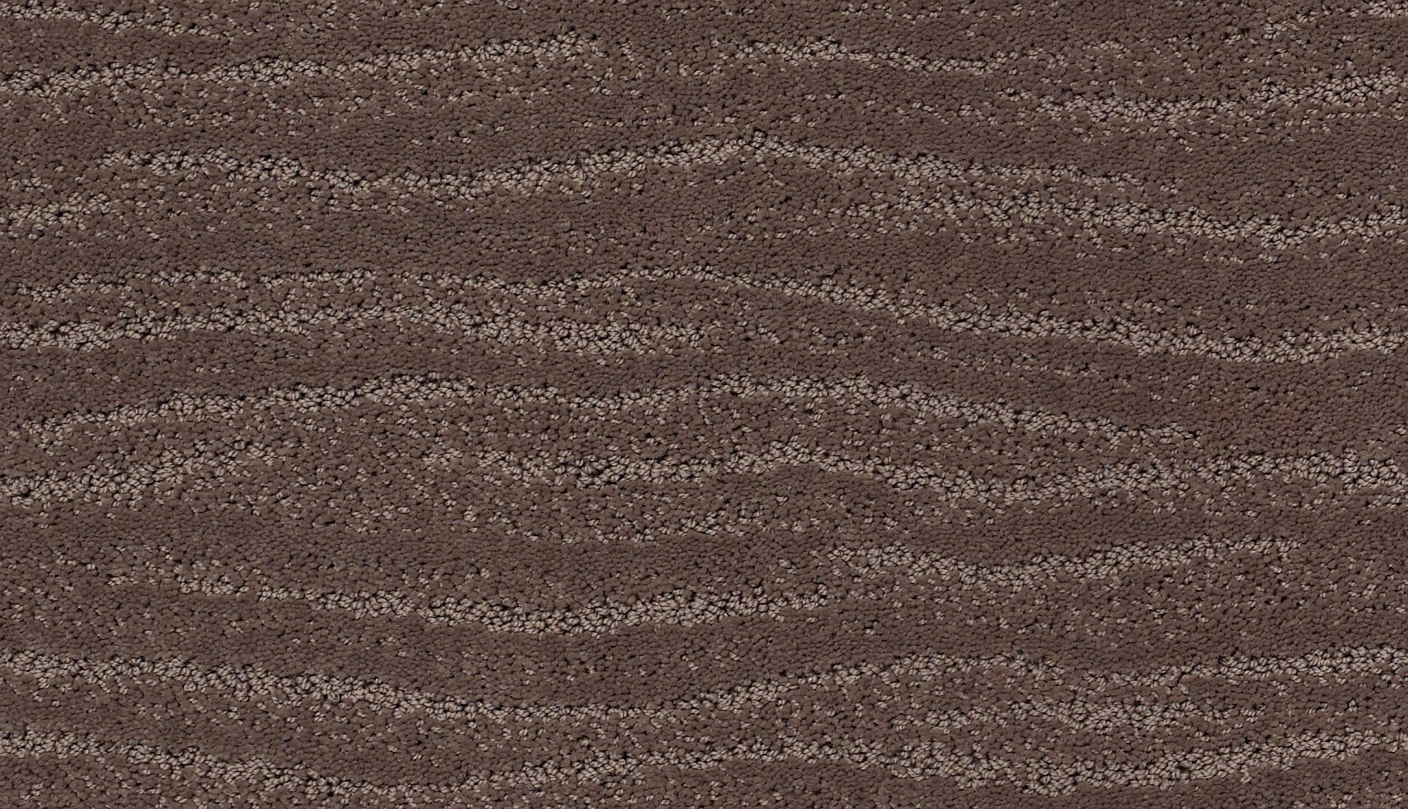 Original Art - Chantrelle - ZZB79_00857