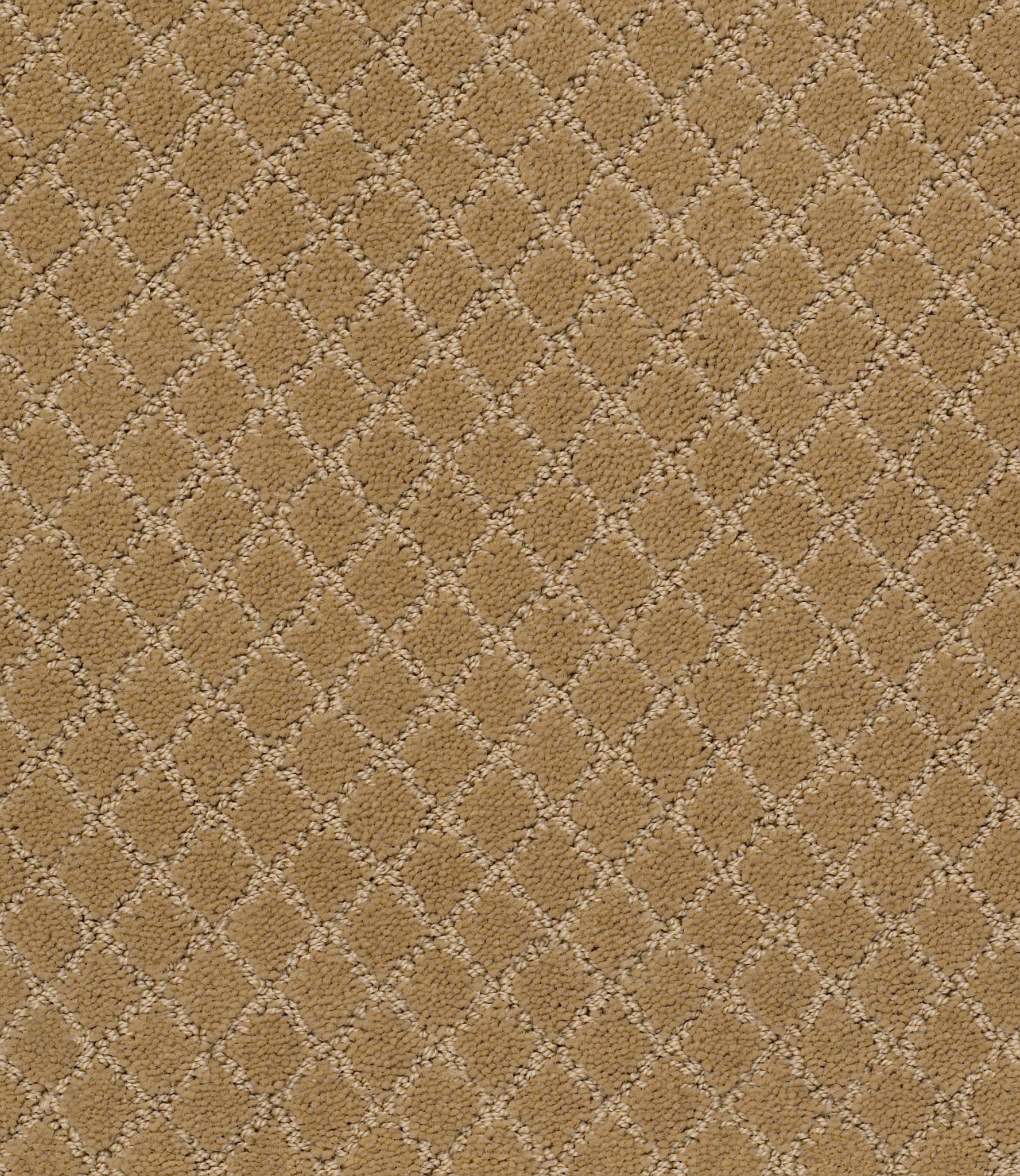 Belton - Golden Straw - ZZB80_00224