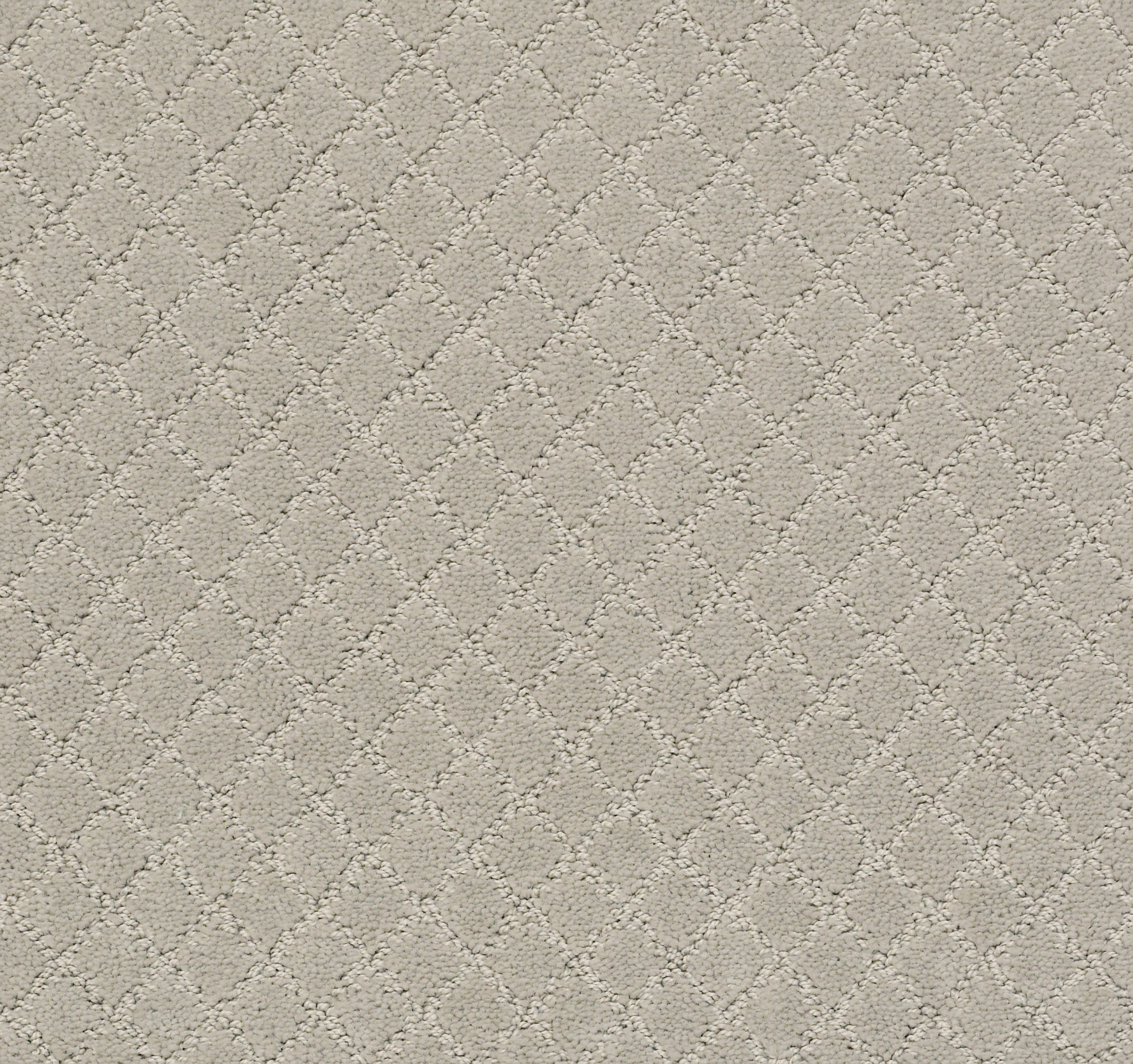 Belton-Silver Fox-ZZB80_00511