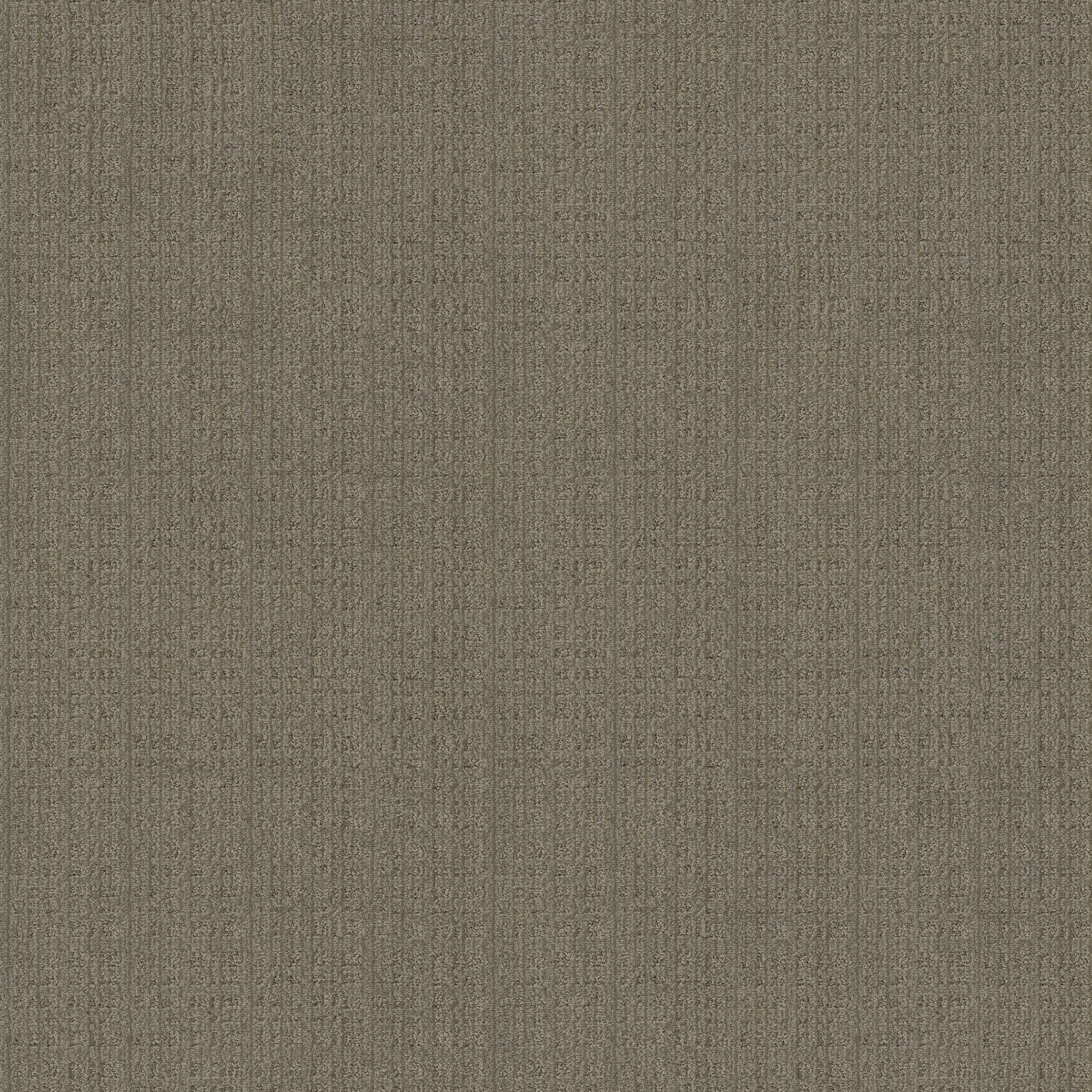 Coco - Urban Jungle - ZZB82_00355