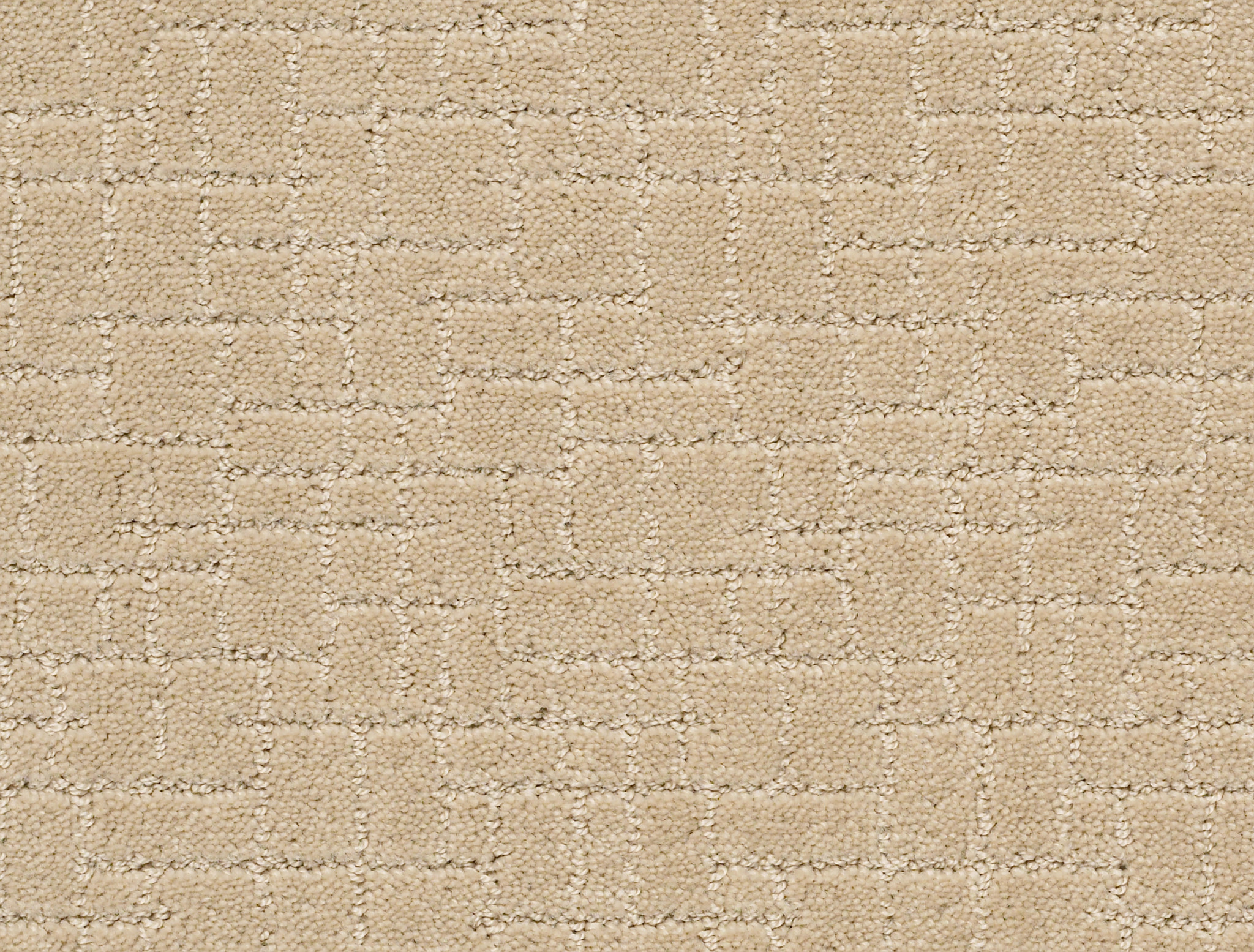 Brindle - Hazelnut - ZZB84_00113