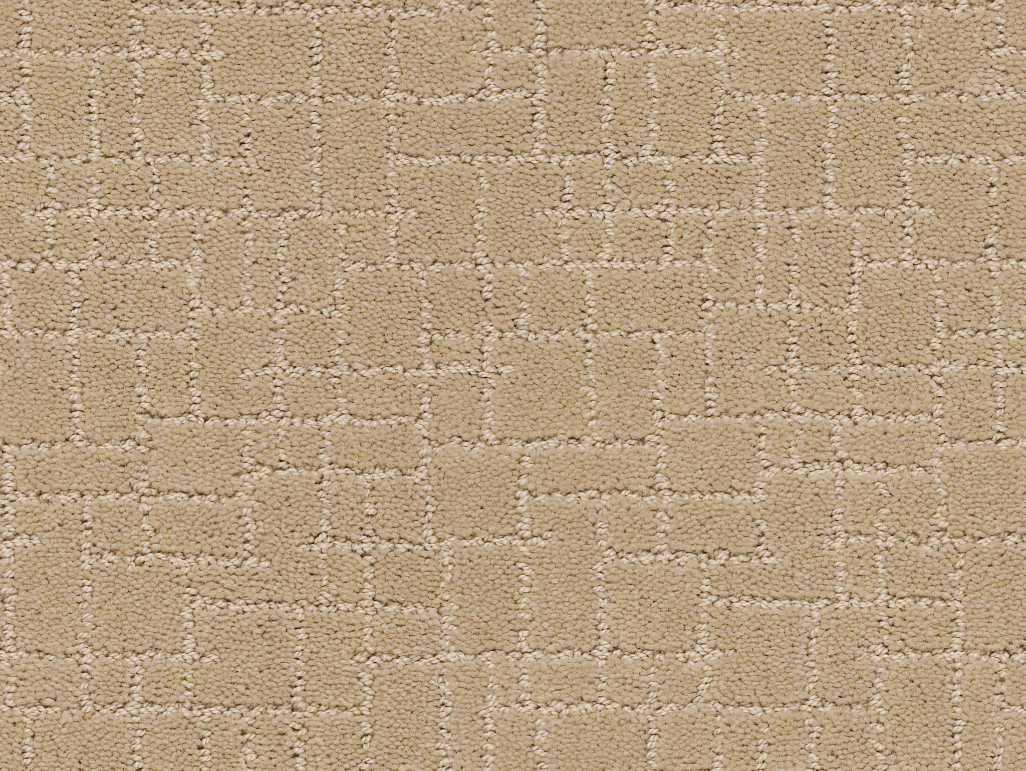 Brindle - Monterey - ZZB84_00115