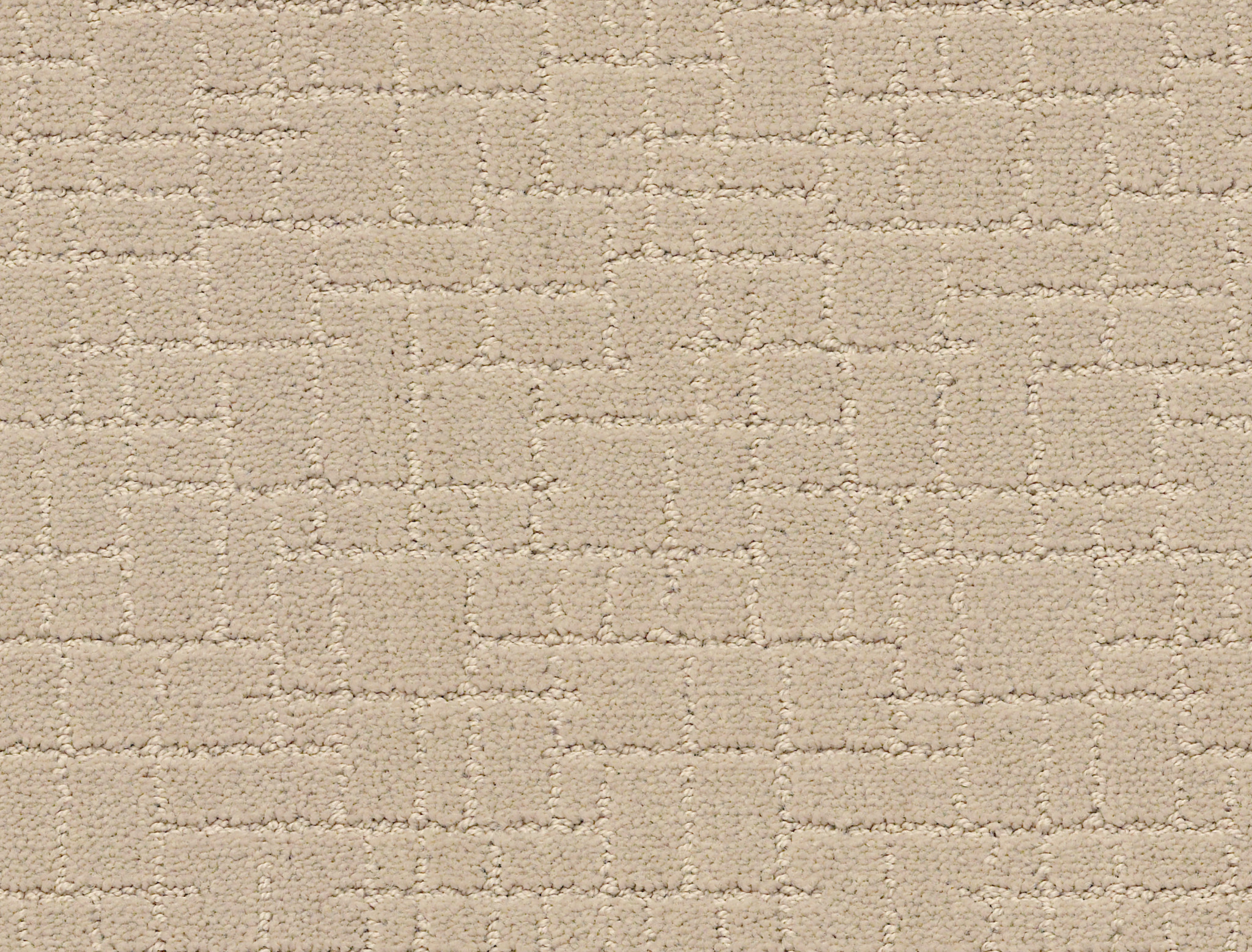 Brindle - Toffee Cream - ZZB84_00183