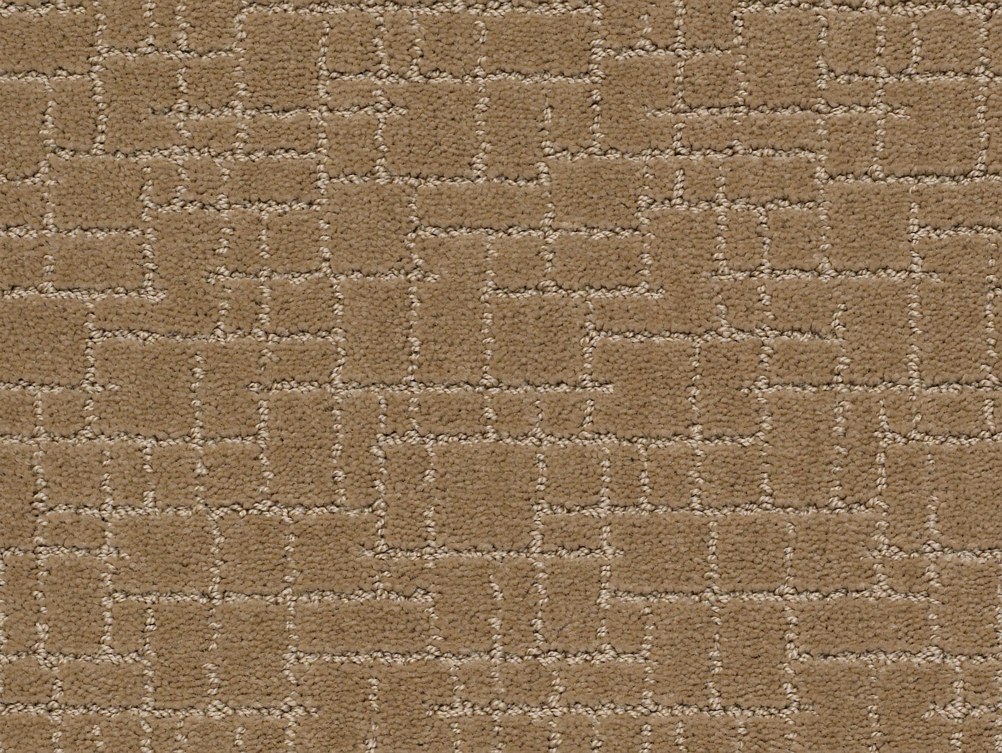 Brindle-Peanut Shell-ZZB84_00186