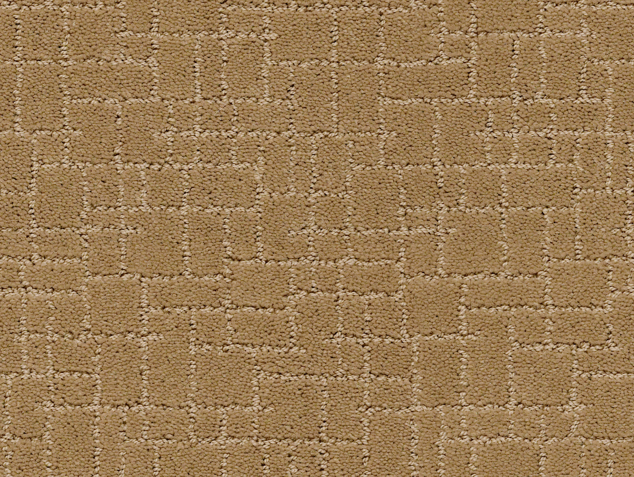 Brindle-Golden Straw-ZZB84_00224