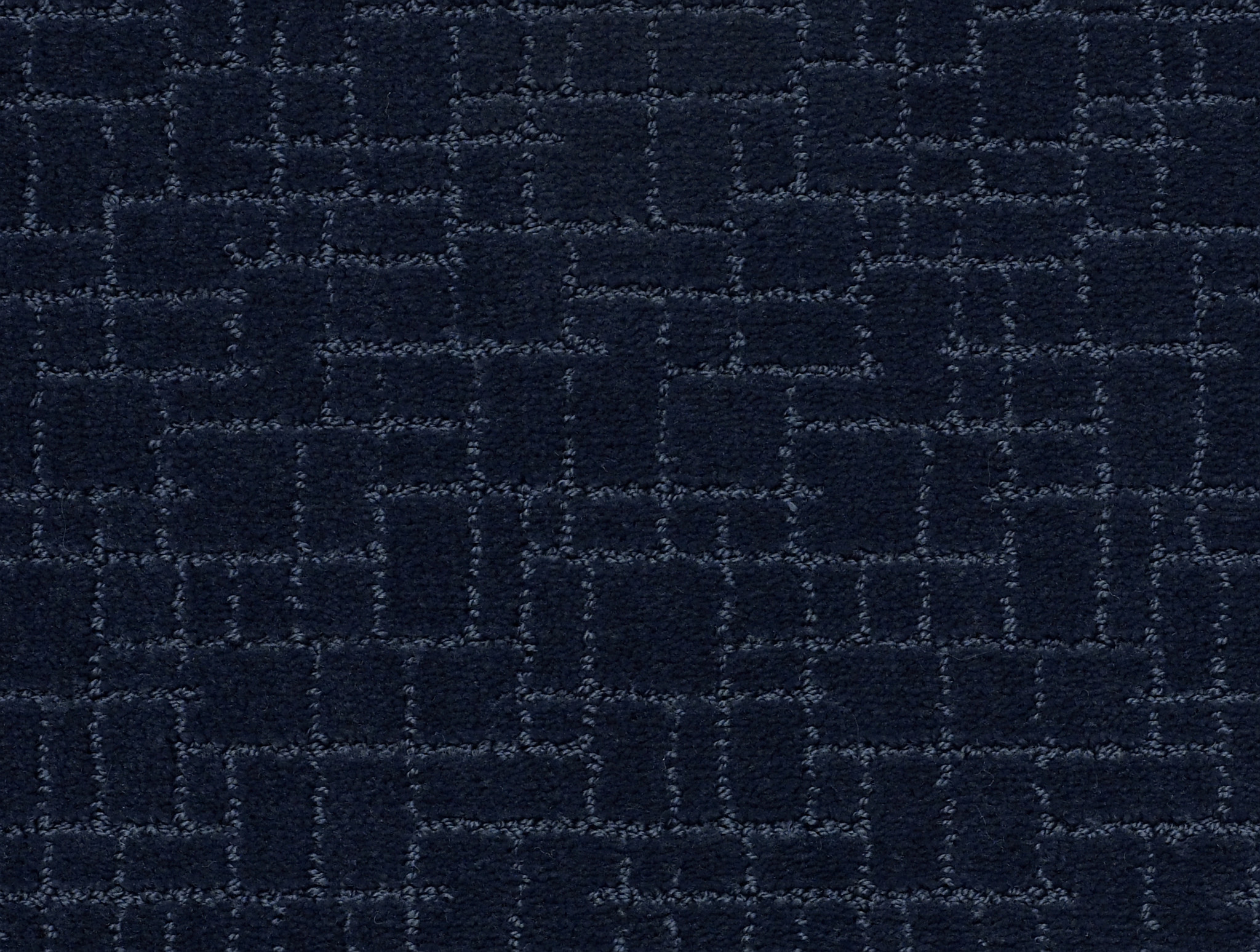 Brindle-Downpour-ZZB84_00445