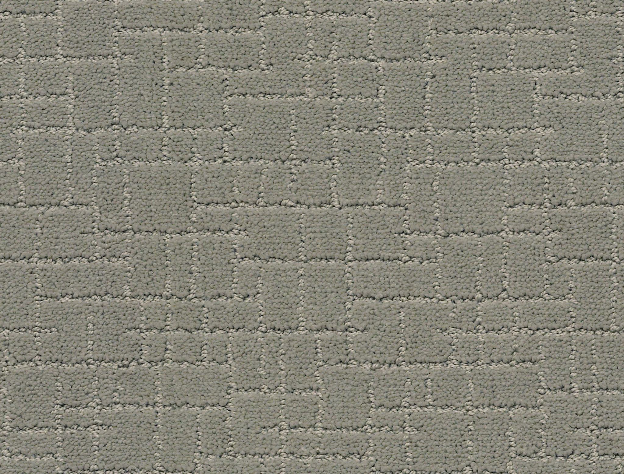 Brindle - Portland - ZZB84_00512