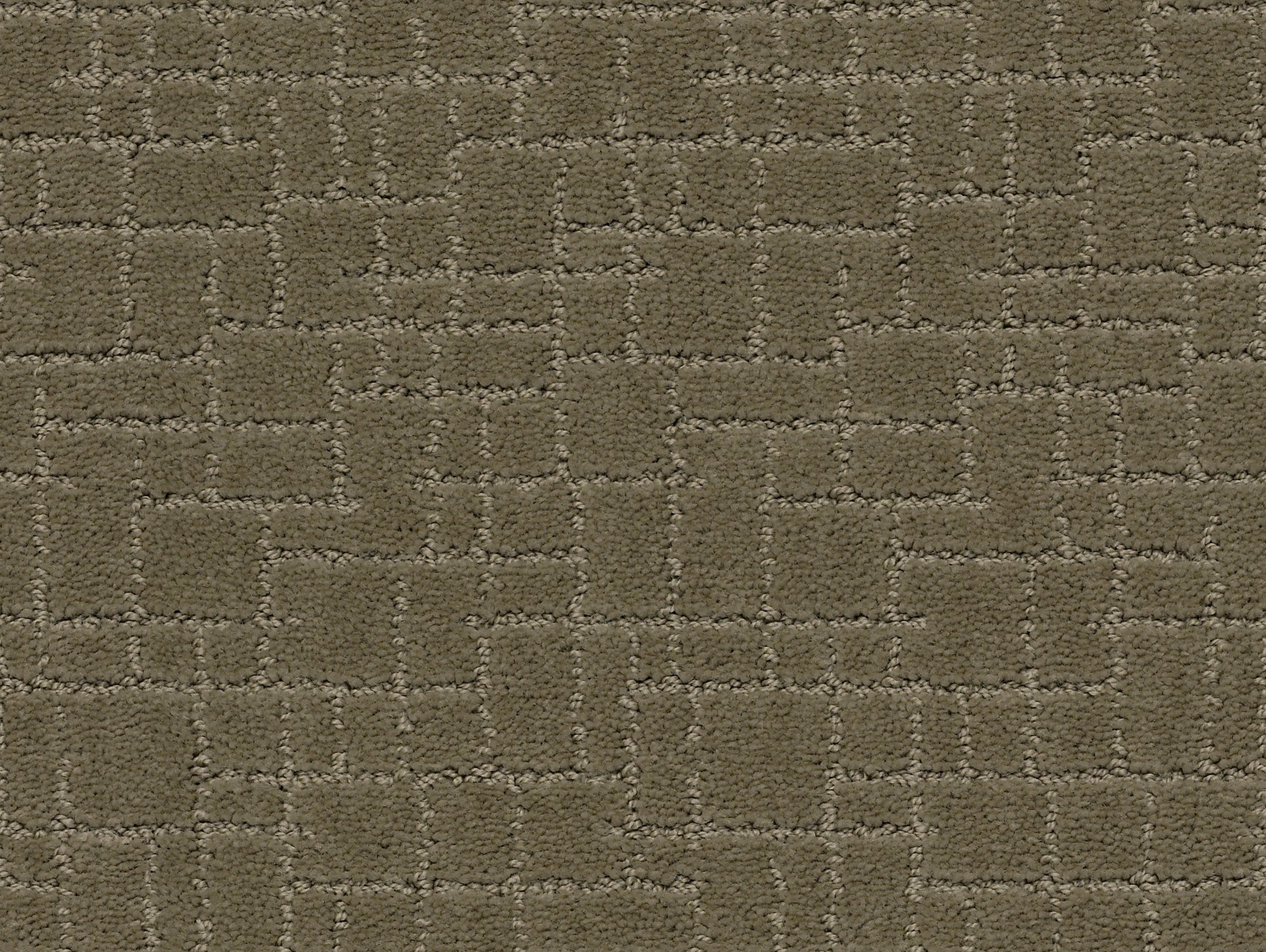 Brindle - Dry Sage - ZZB84_00536