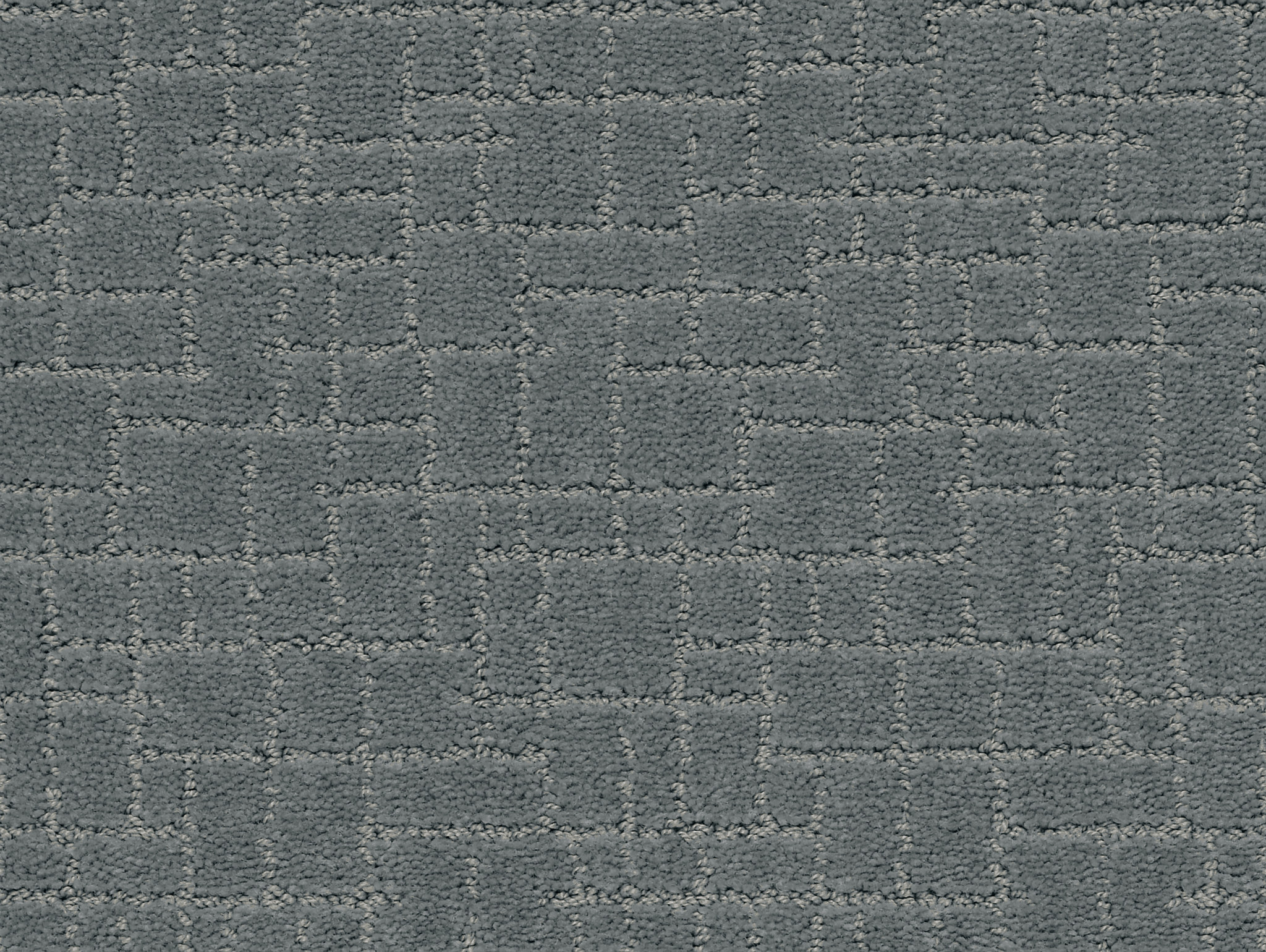 Brindle-Steel Wool-ZZB84_00545