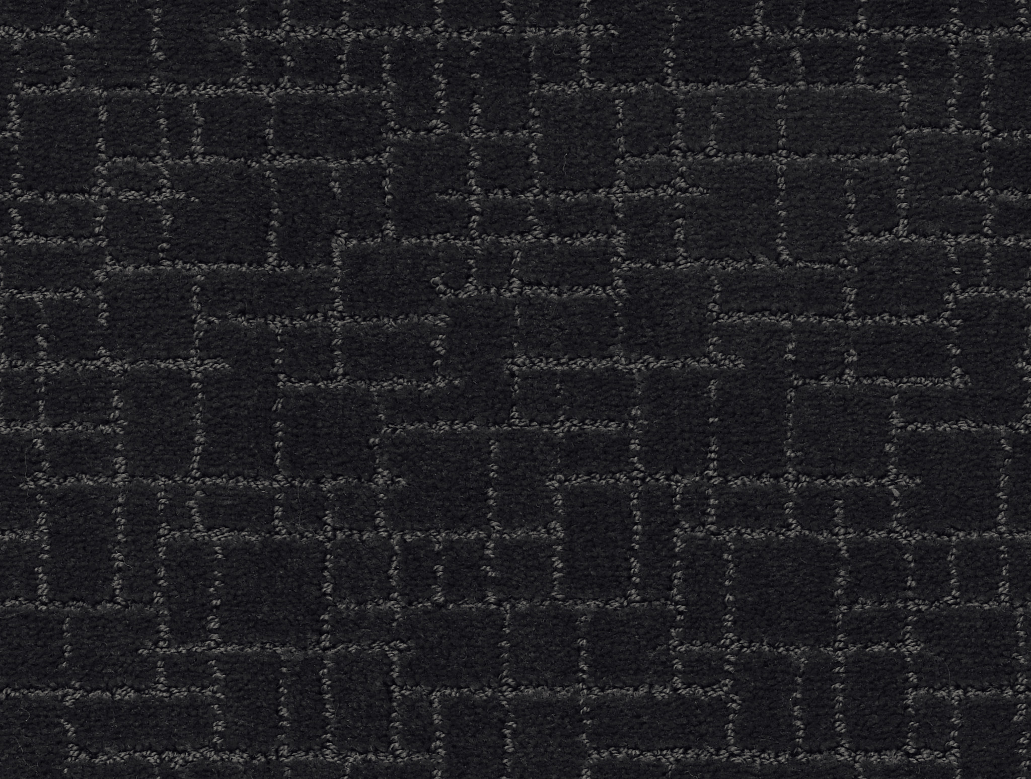 Brindle-Night Shade-ZZB84_00558