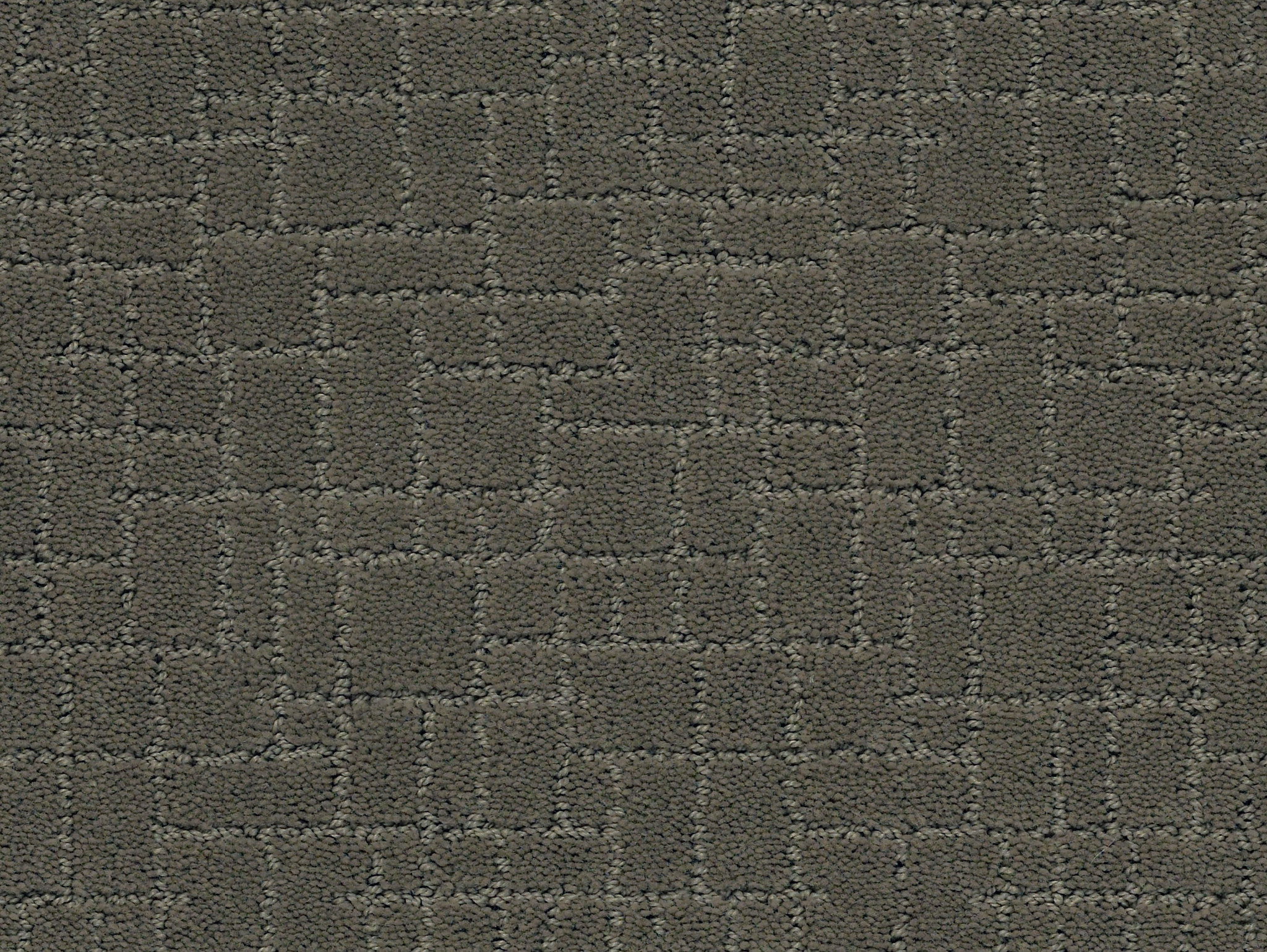 Brindle-Smoked Oyster-ZZB84_00576