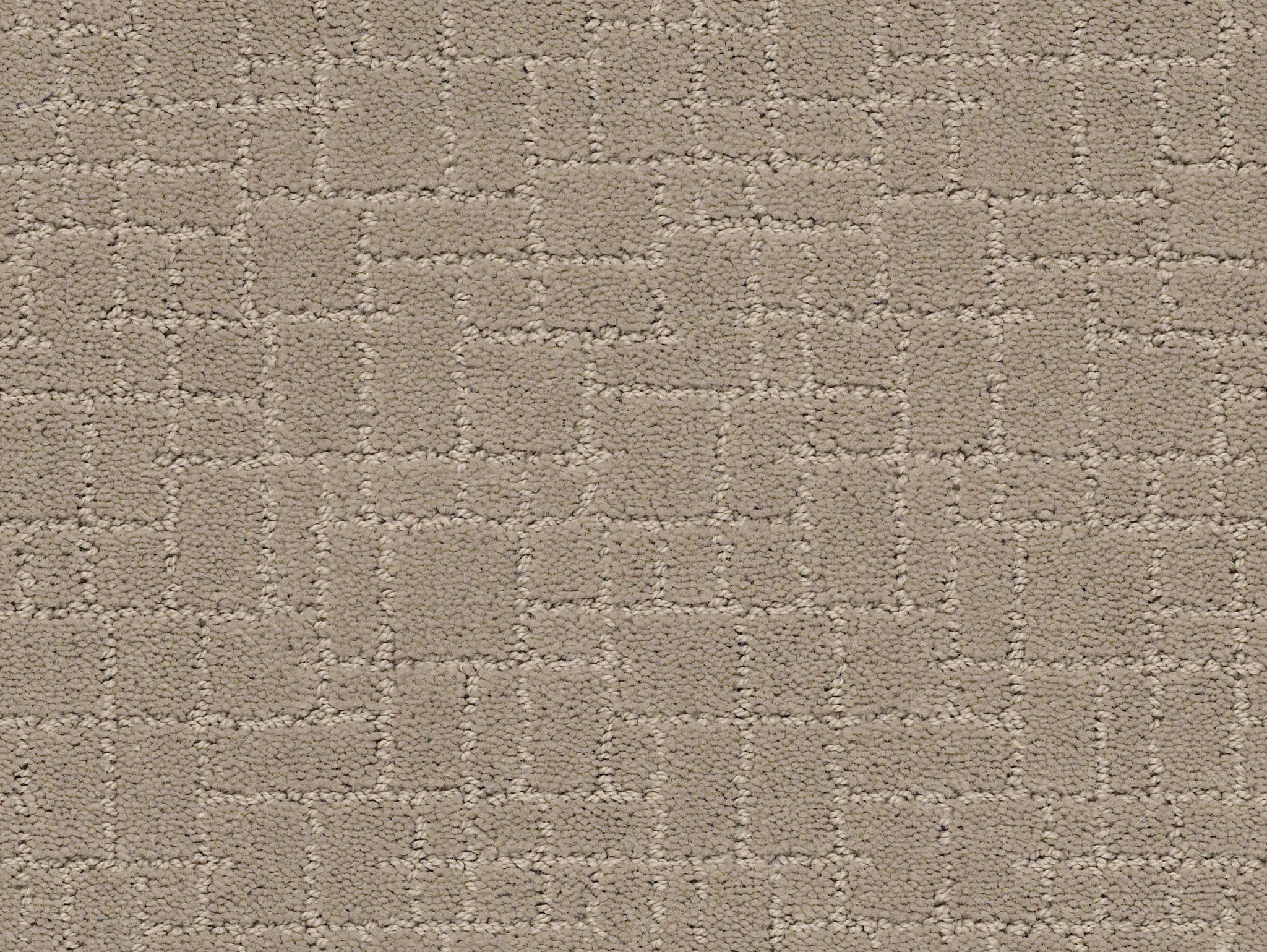 Brindle-Mocha Cream-ZZB84_00711