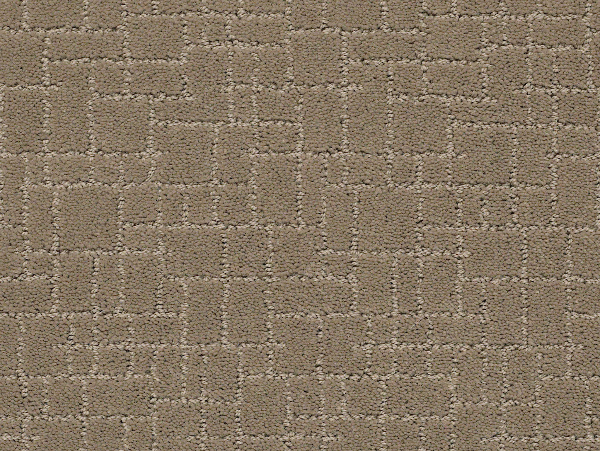 Brindle - Driftwood - ZZB84_00712