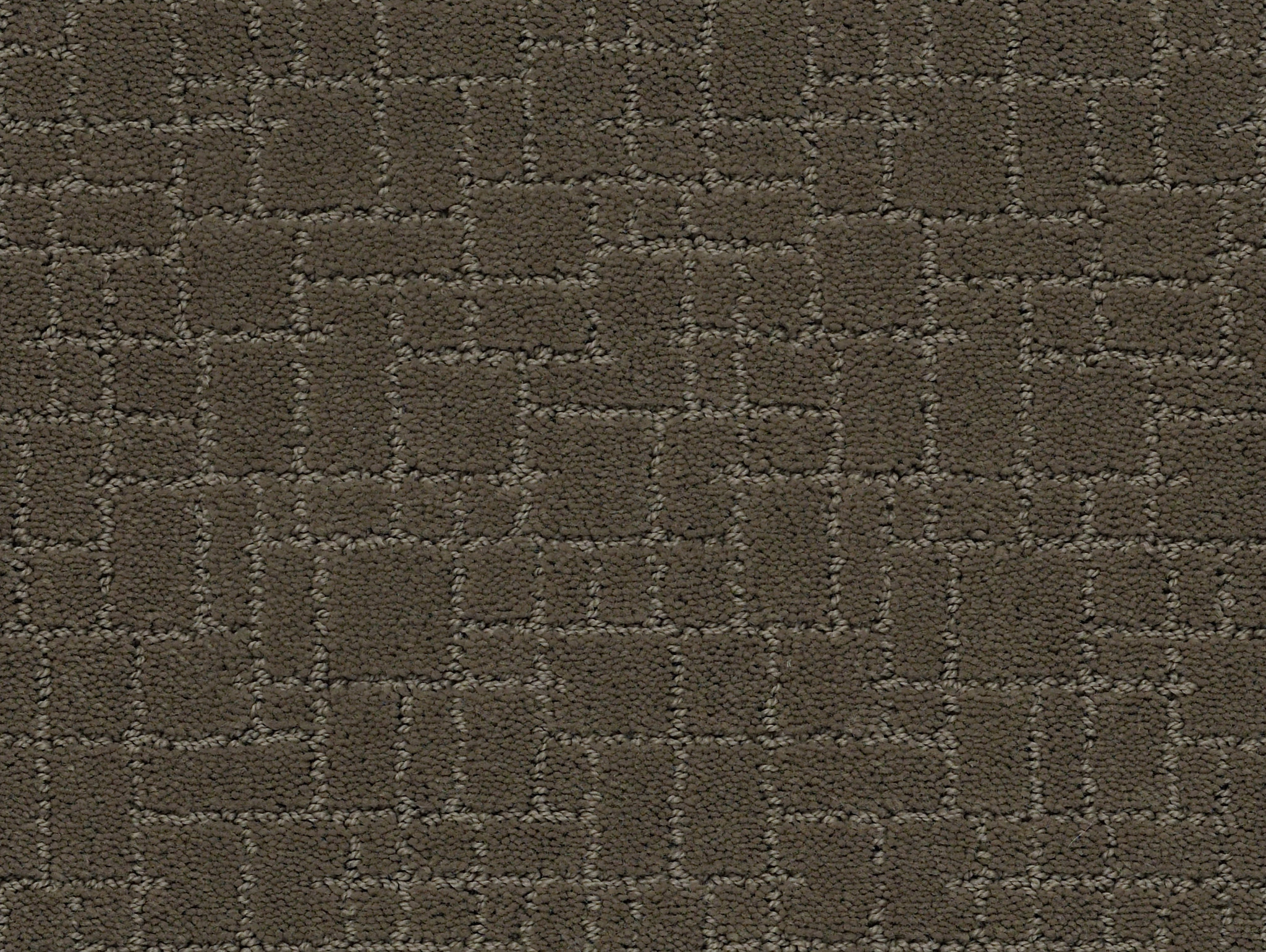 Brindle - Overcoat - ZZB84_00716