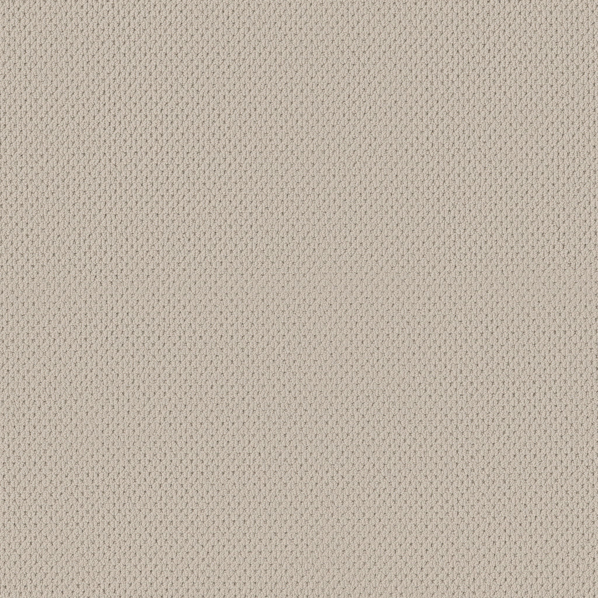 Aged White