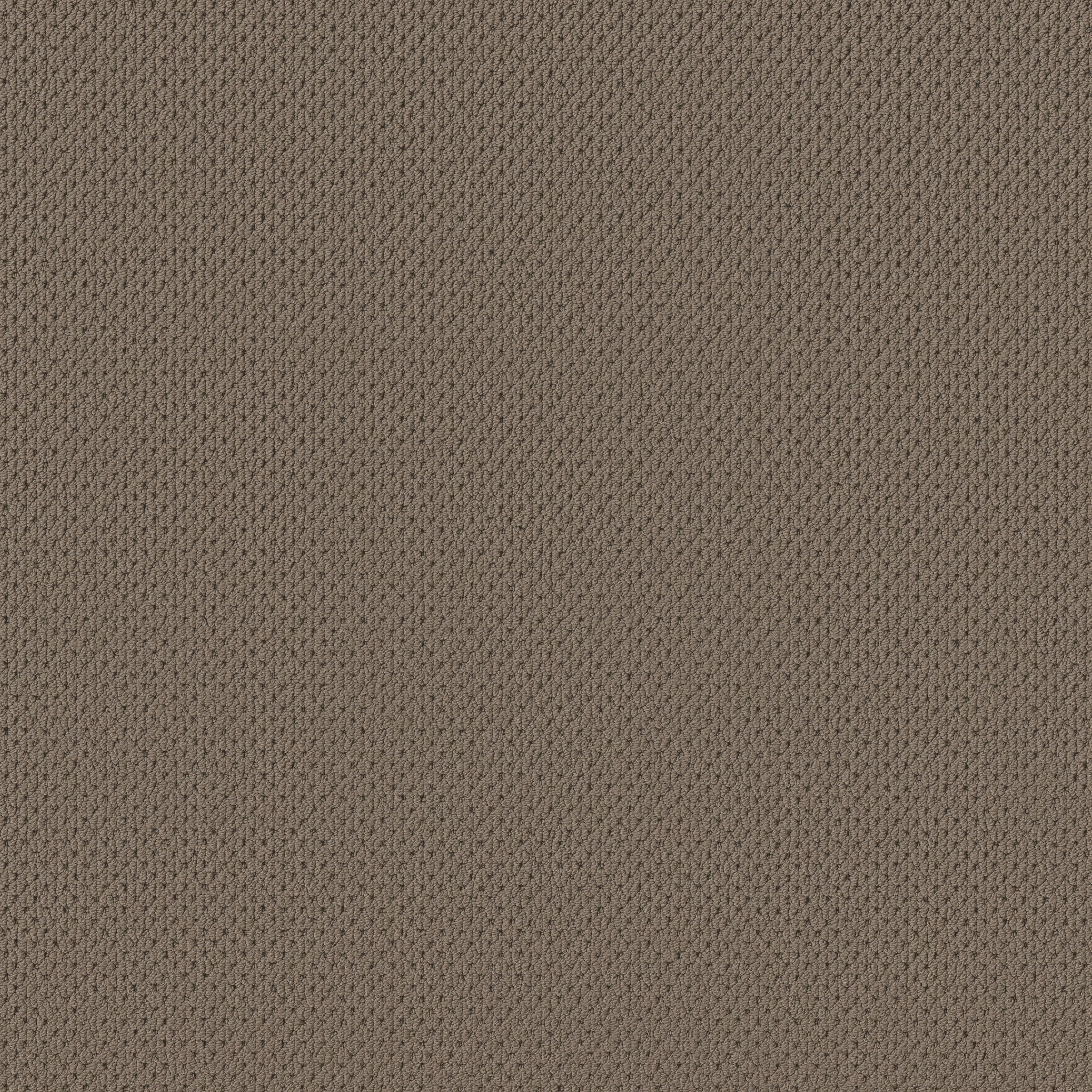 Shingle