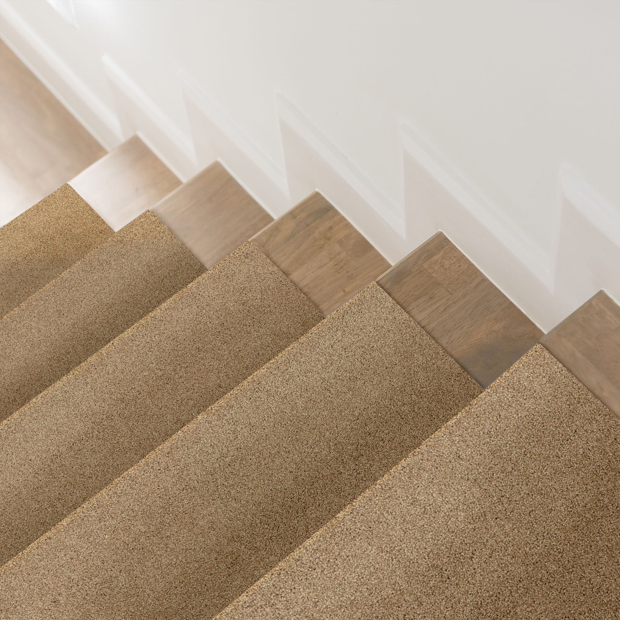 PARK HAVEN FARRO ROOM