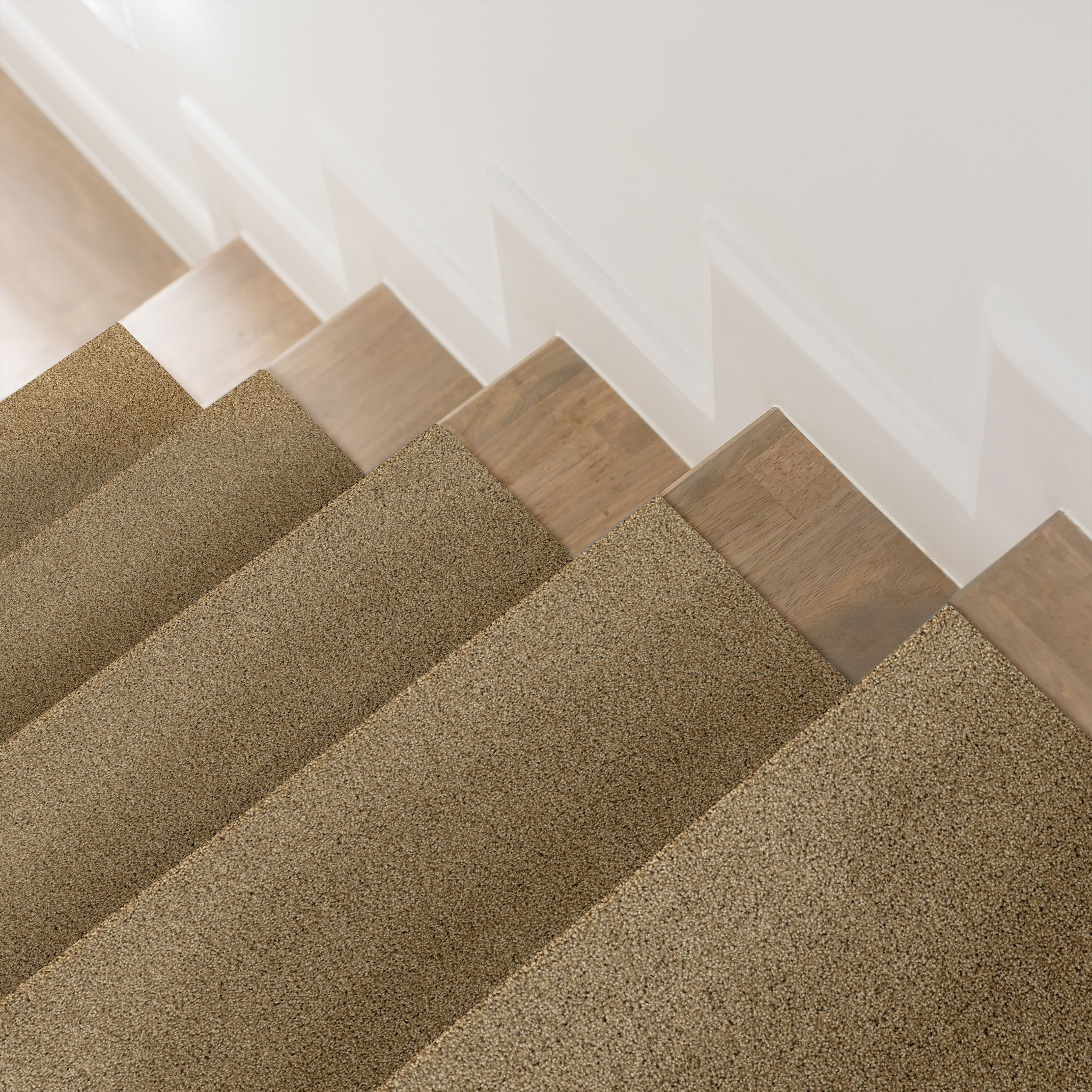 PARK HAVEN CARMELO ROOM