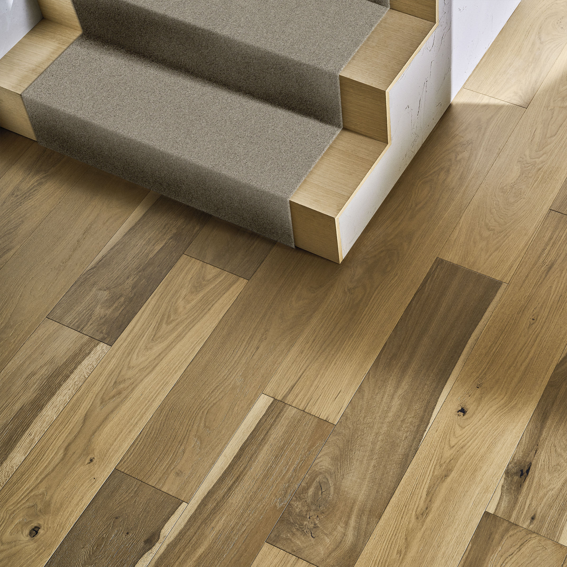 PARK HAVEN SHADOW ROOM