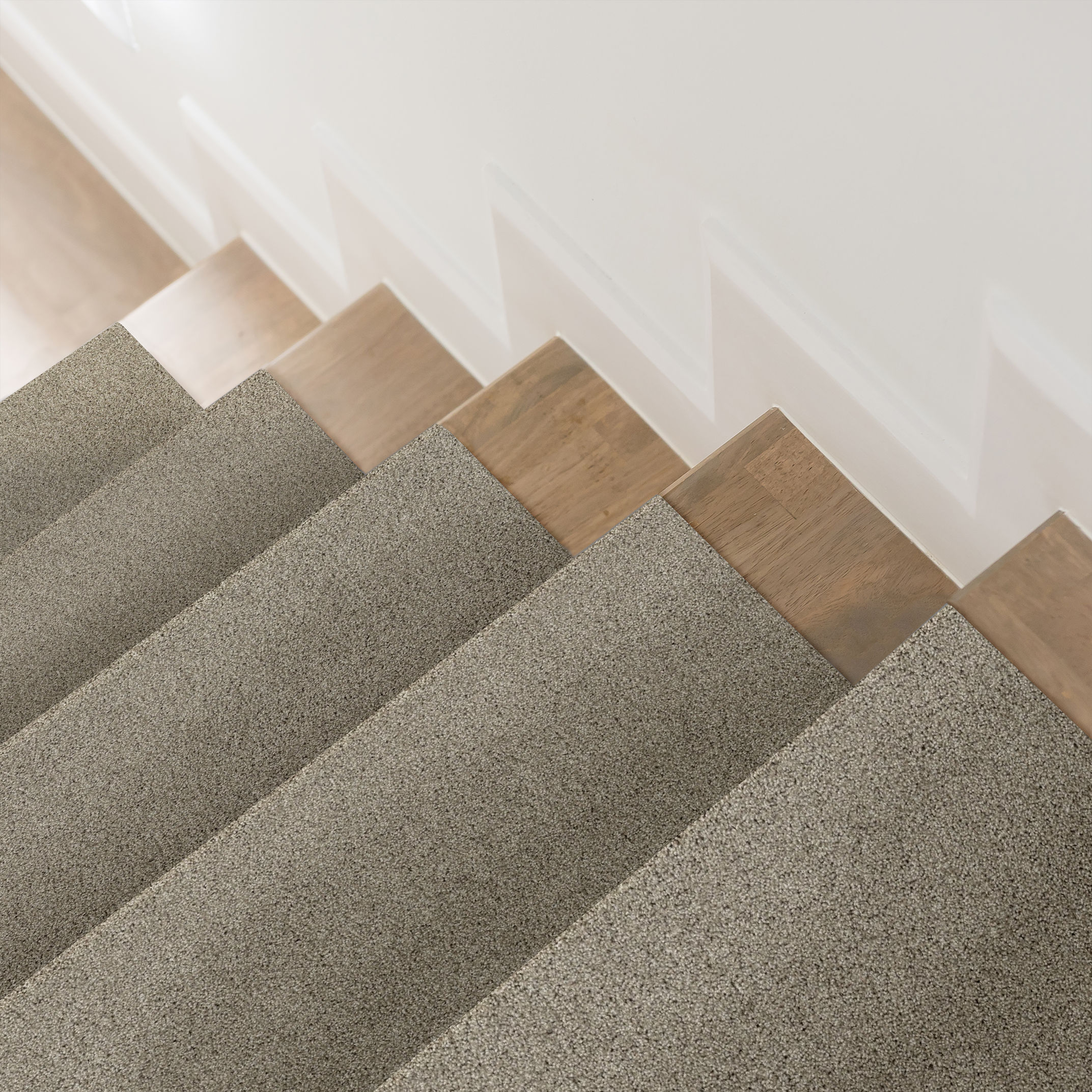 PARK HAVEN SHADOW ROOM