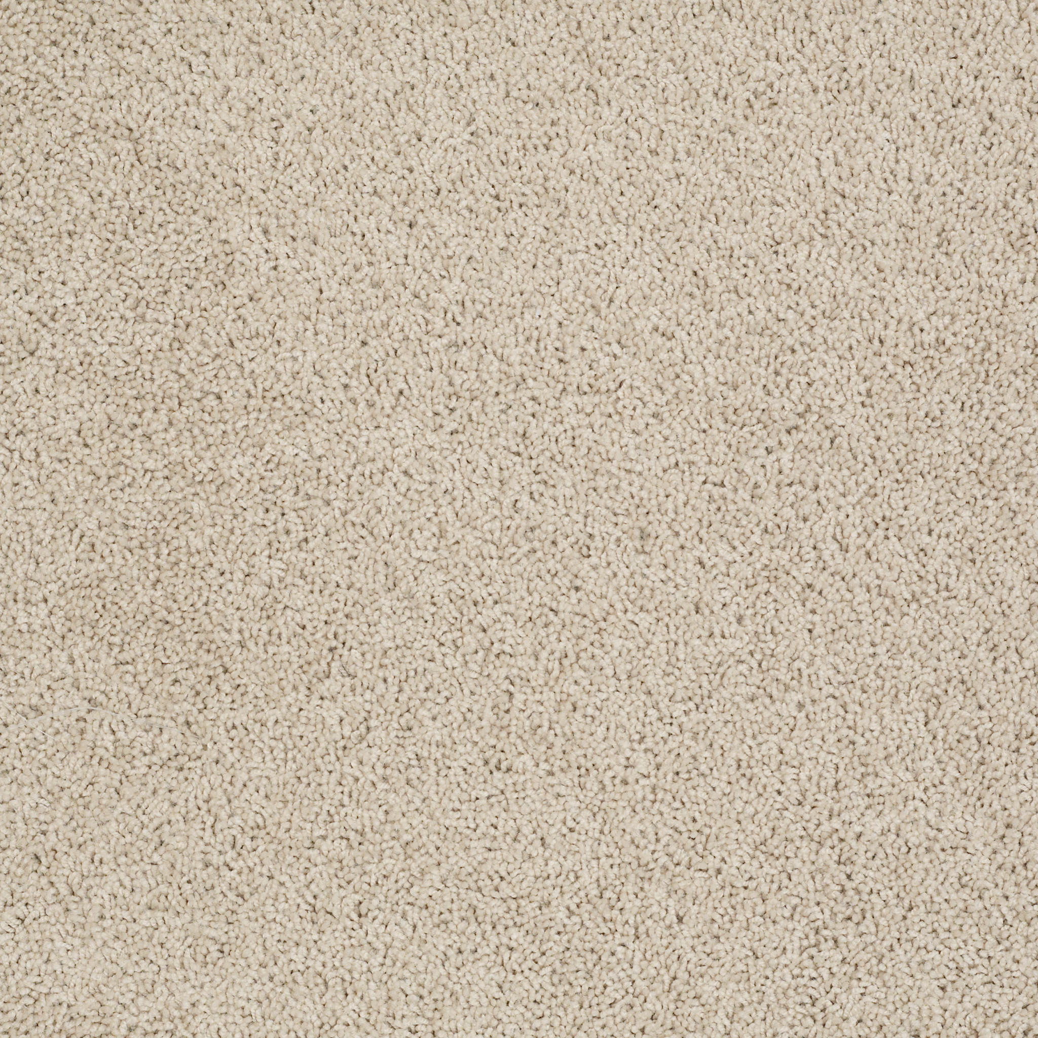 Chic Cream