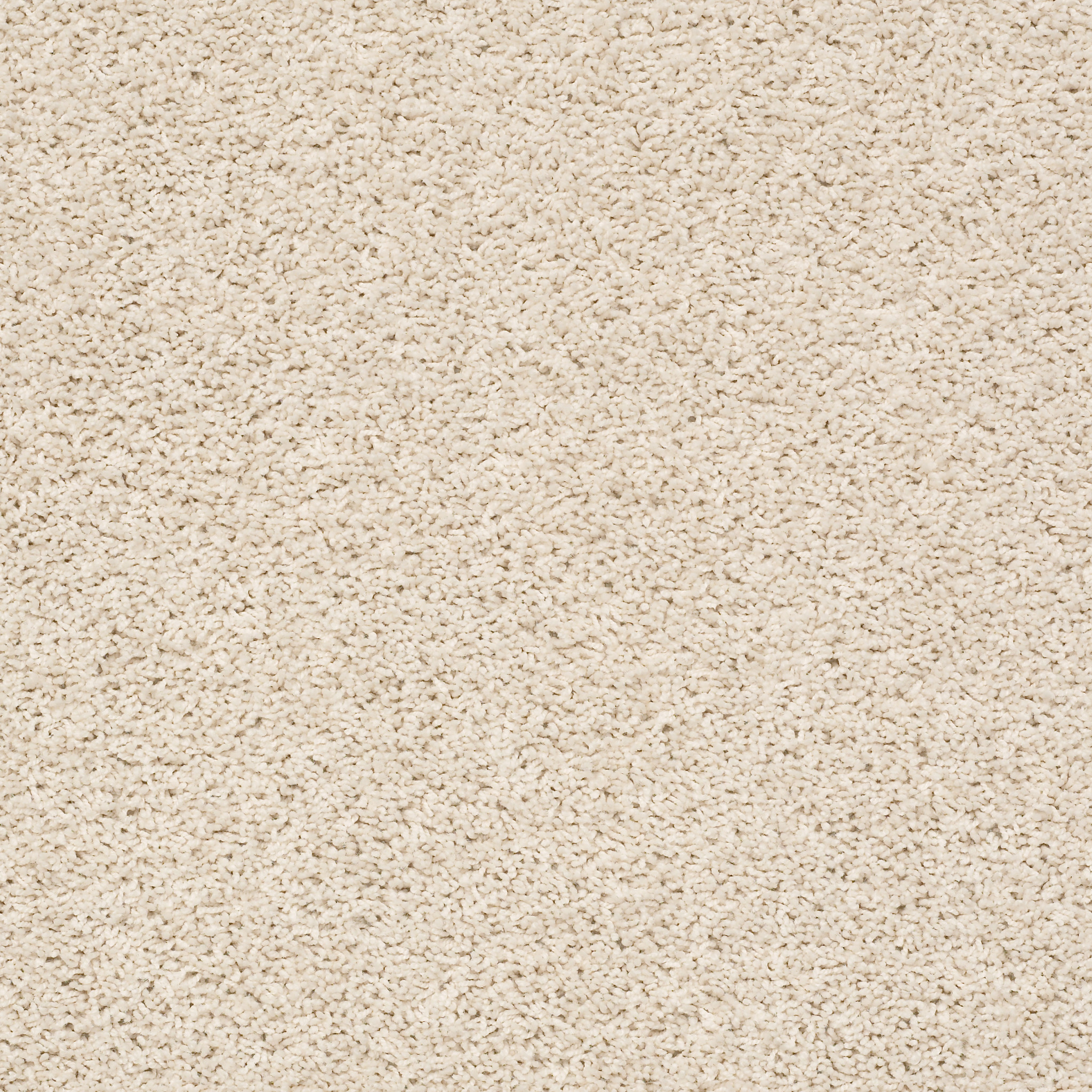 Desert Star