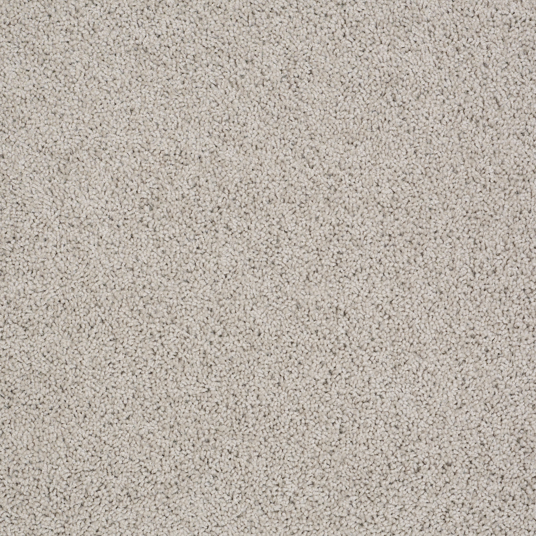 Cement