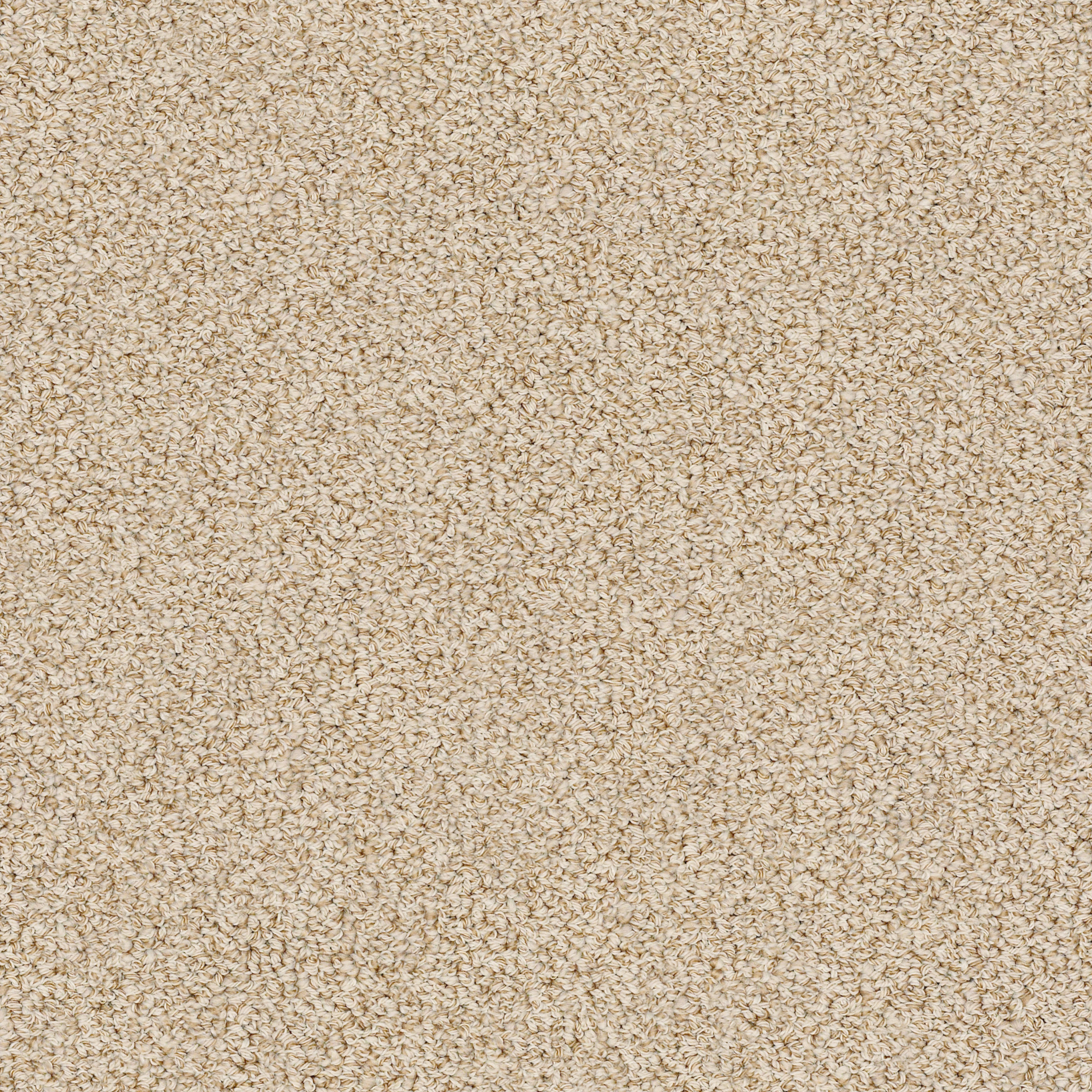 Edgewood-Summertime-ZZL37_00223