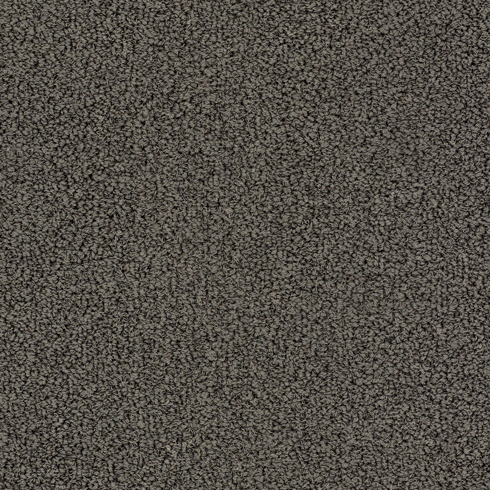 Edgewood-Lava Rock-ZZL37_00557