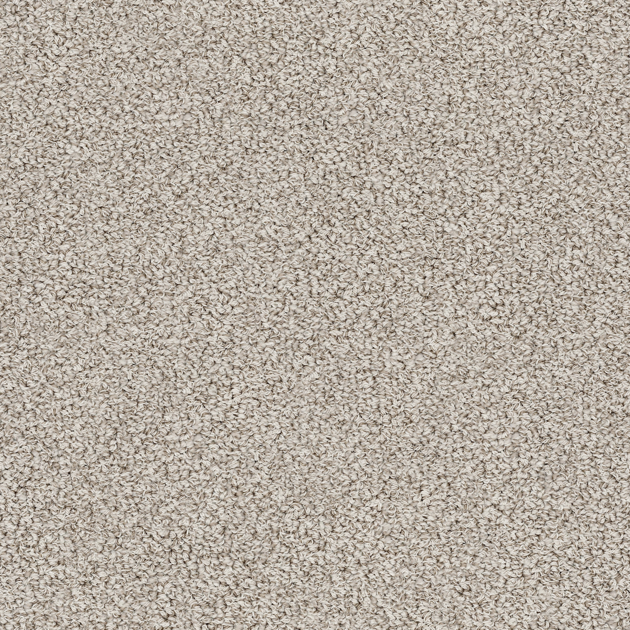 Edgewood-Crushed Shell-ZZL37_00712