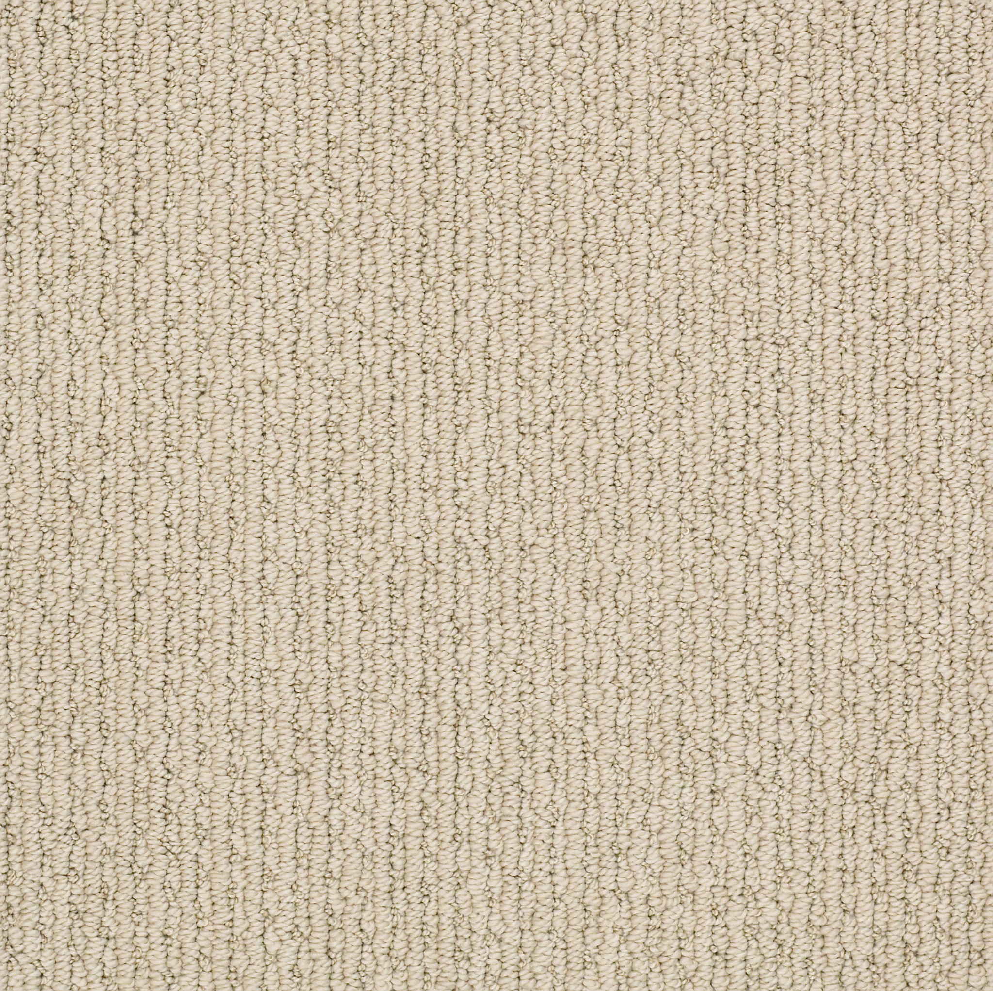 Chic Cream