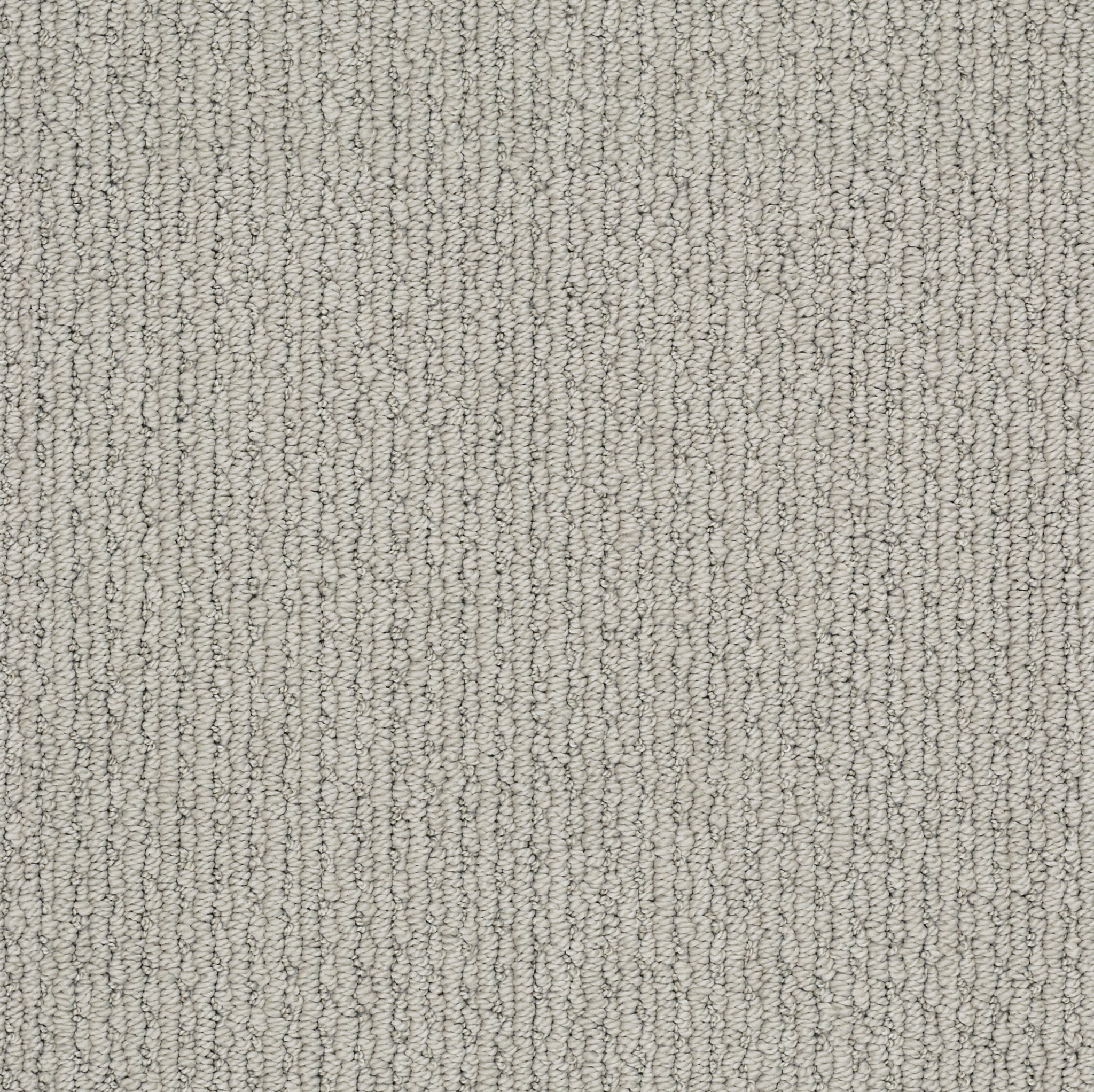 Gray Whisper