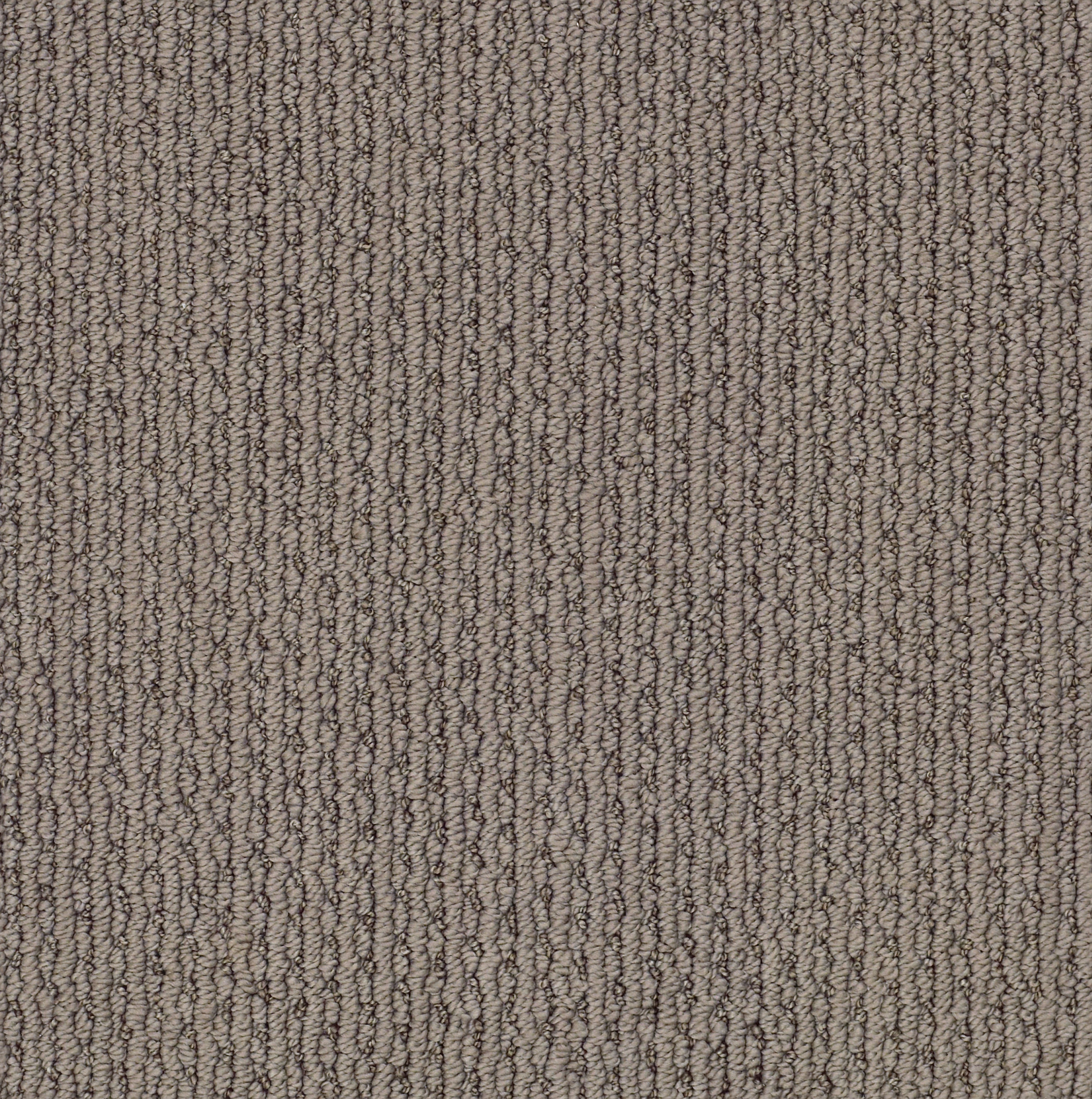 Simply Taupe