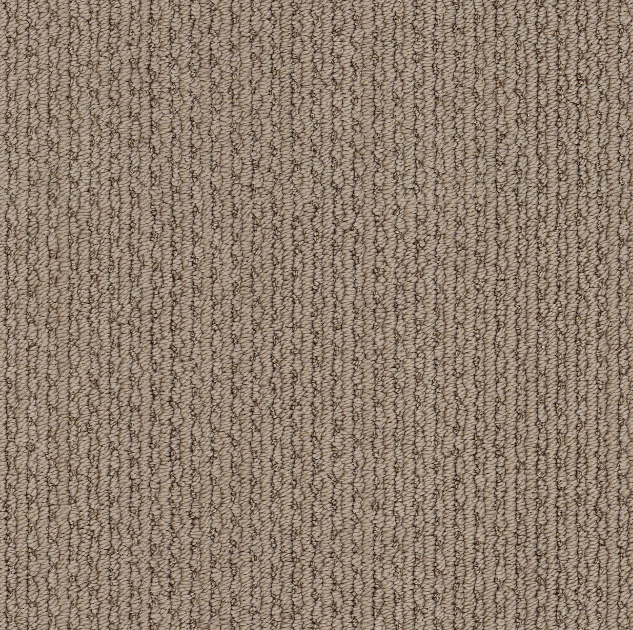 Sable