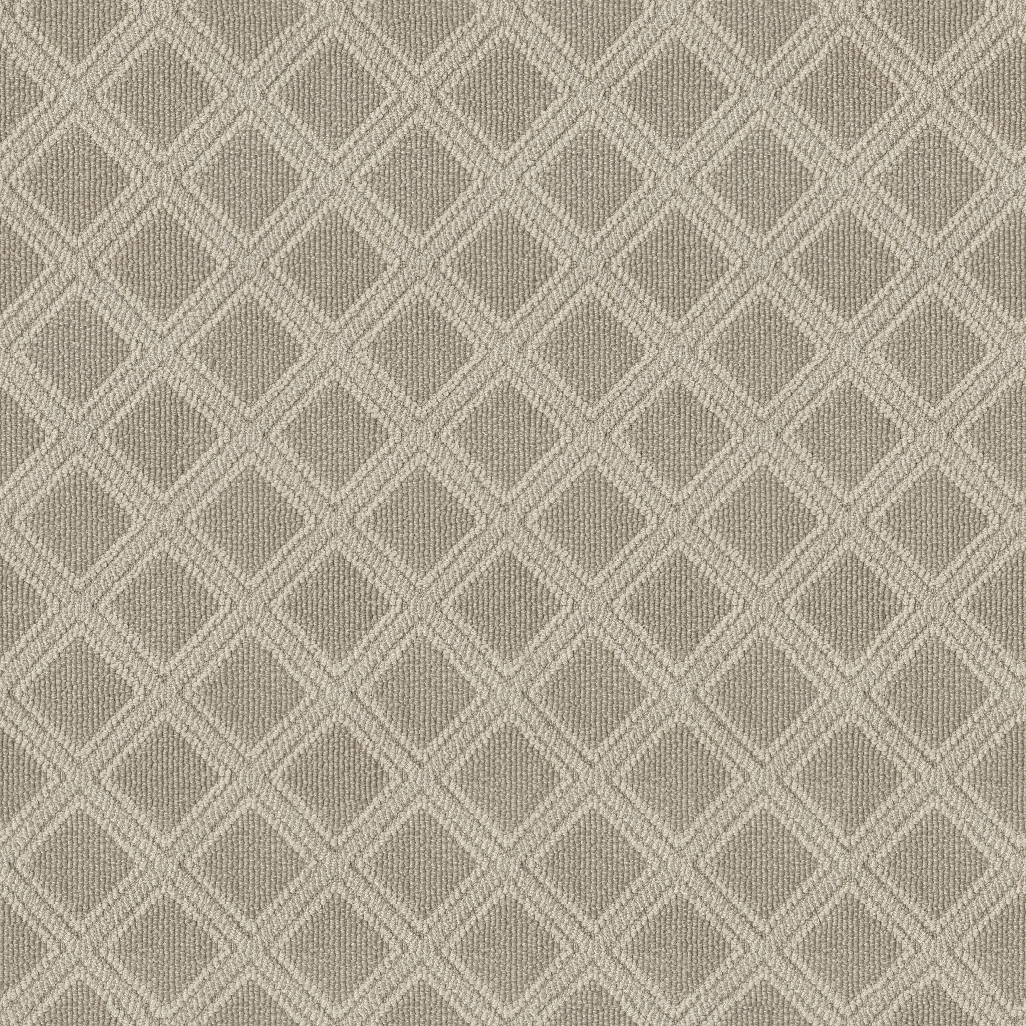 Whiskers ZZL73 00111 | Shaw Builder Flooring