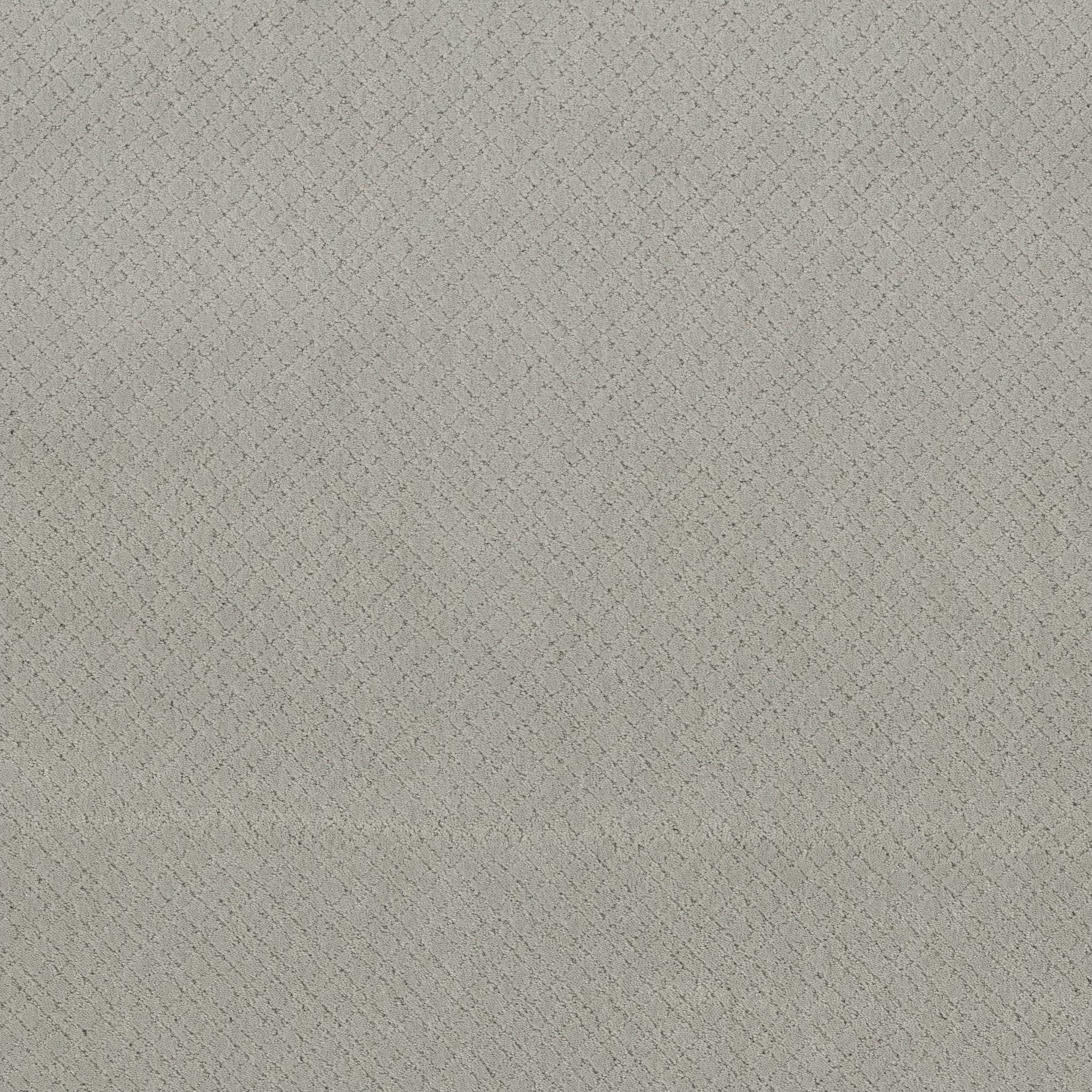 Gentle Gray