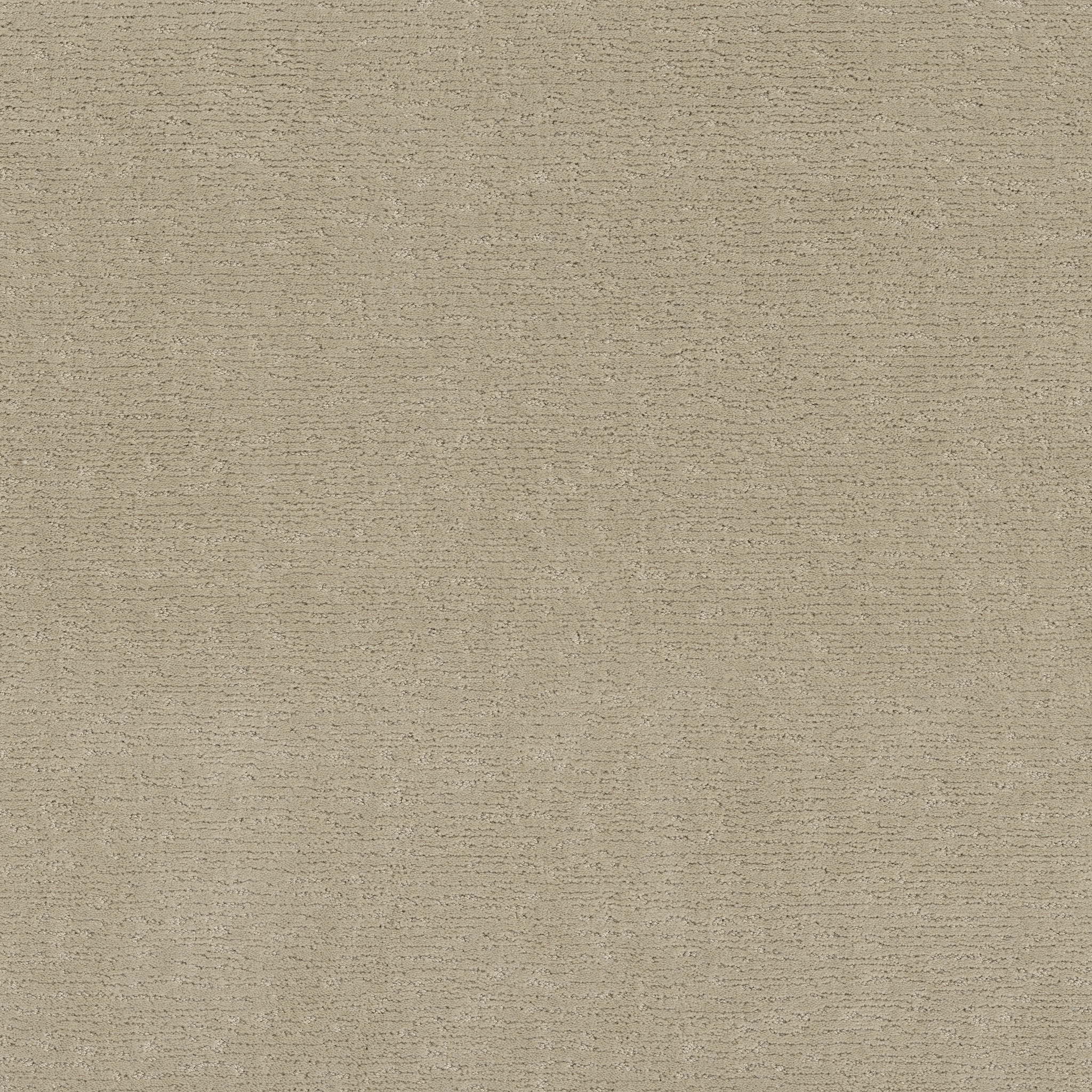 My Craft-Morning Light-ZZL77_00113