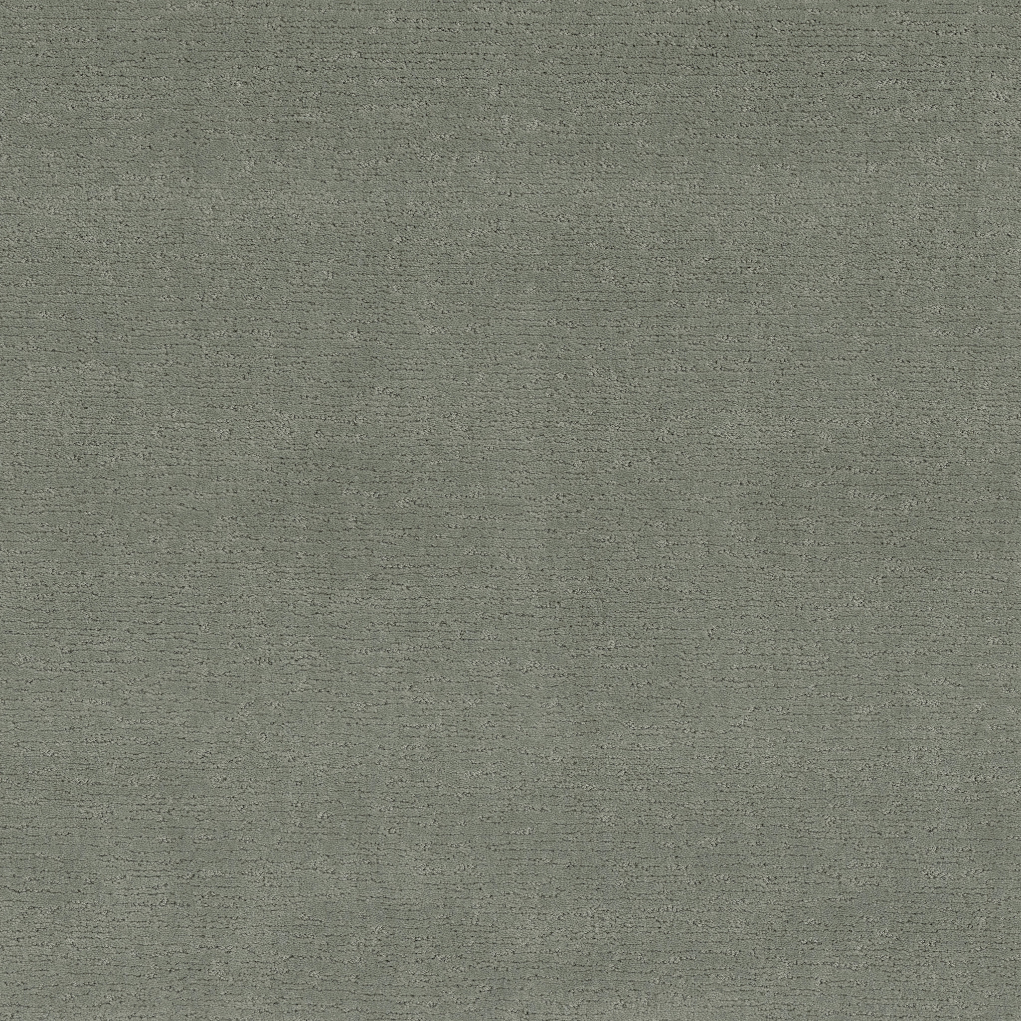 My Craft-Pine Forest-ZZL77_00314