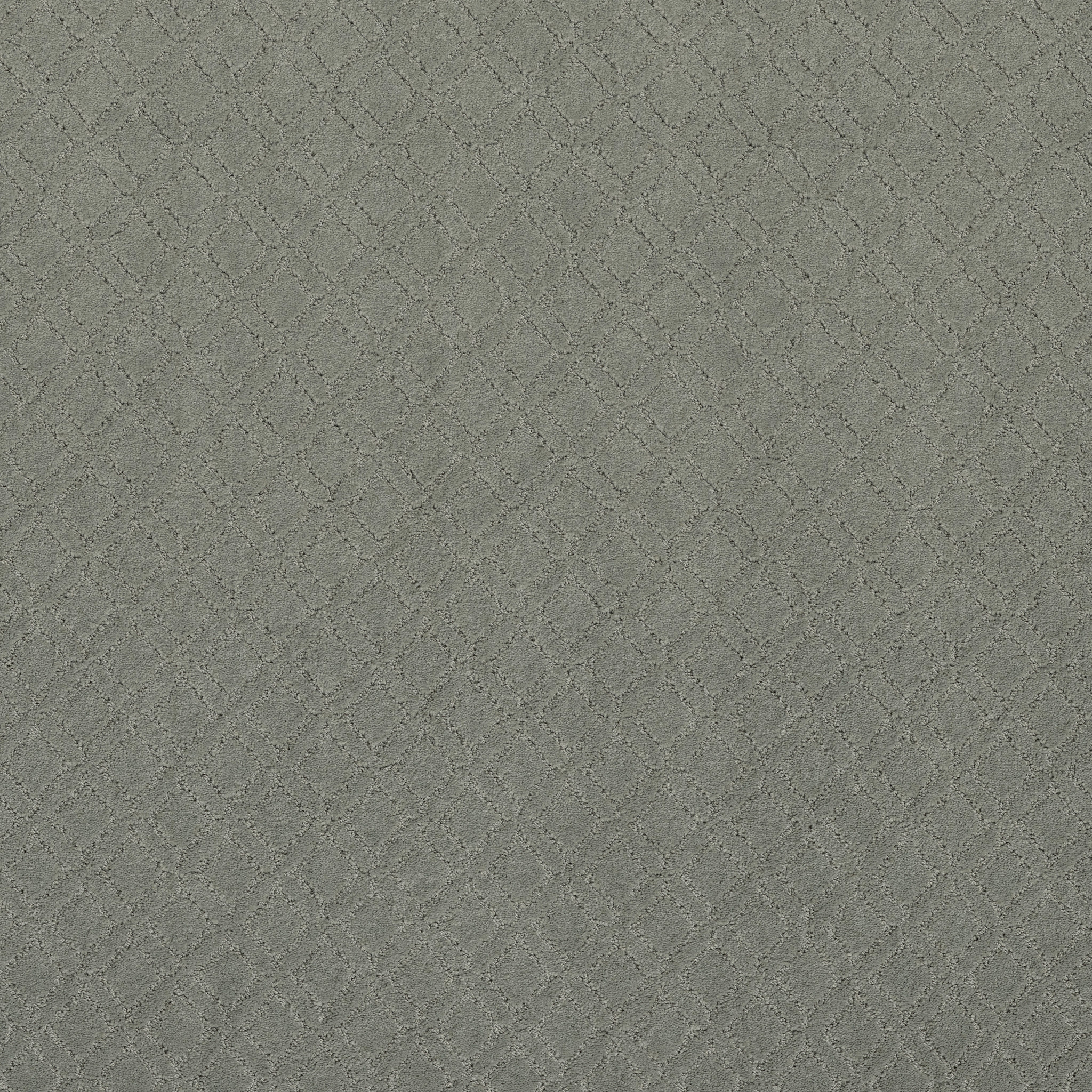 Masterplan-Pine Forest-ZZL78_00314