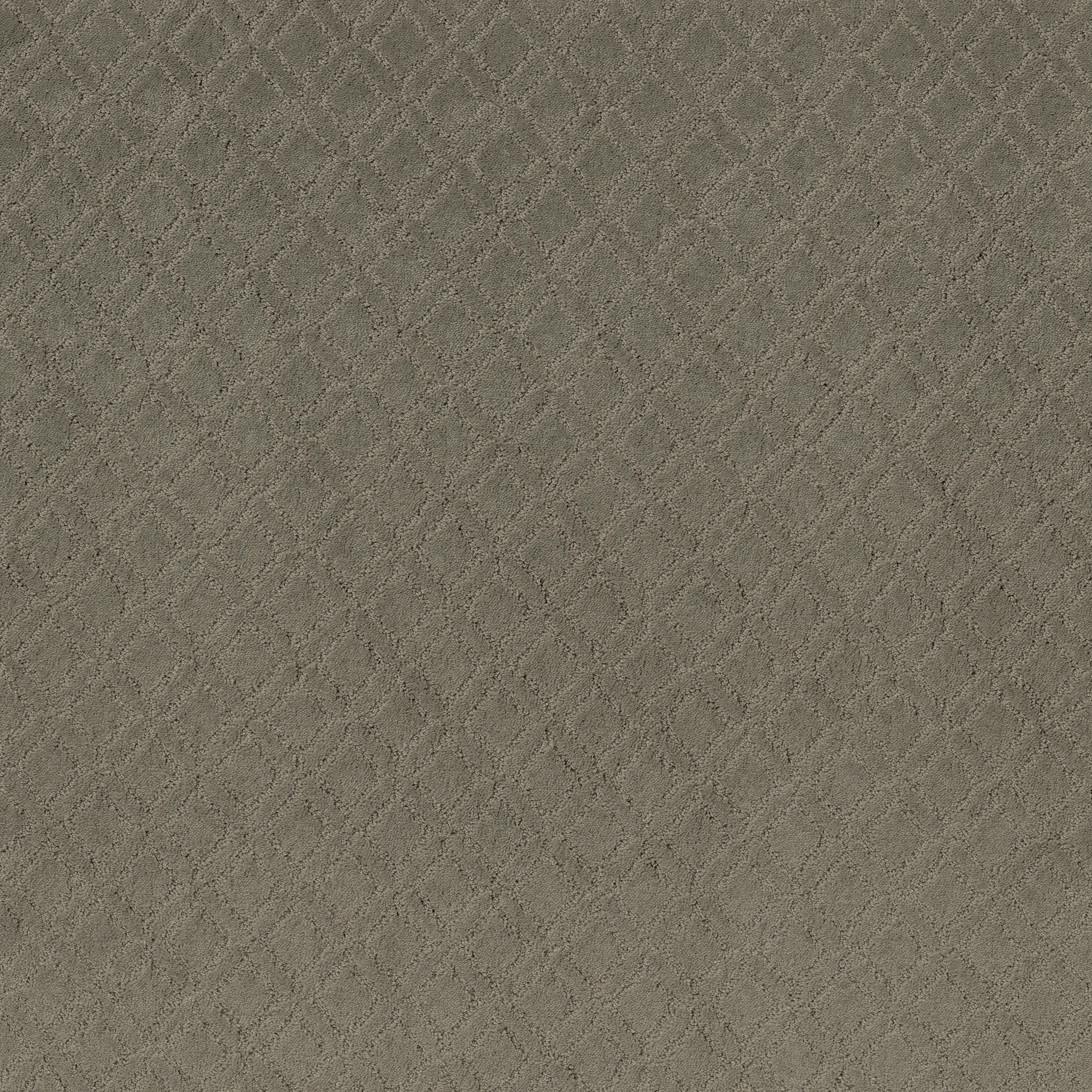 Masterplan-Herbal-ZZL78_00535