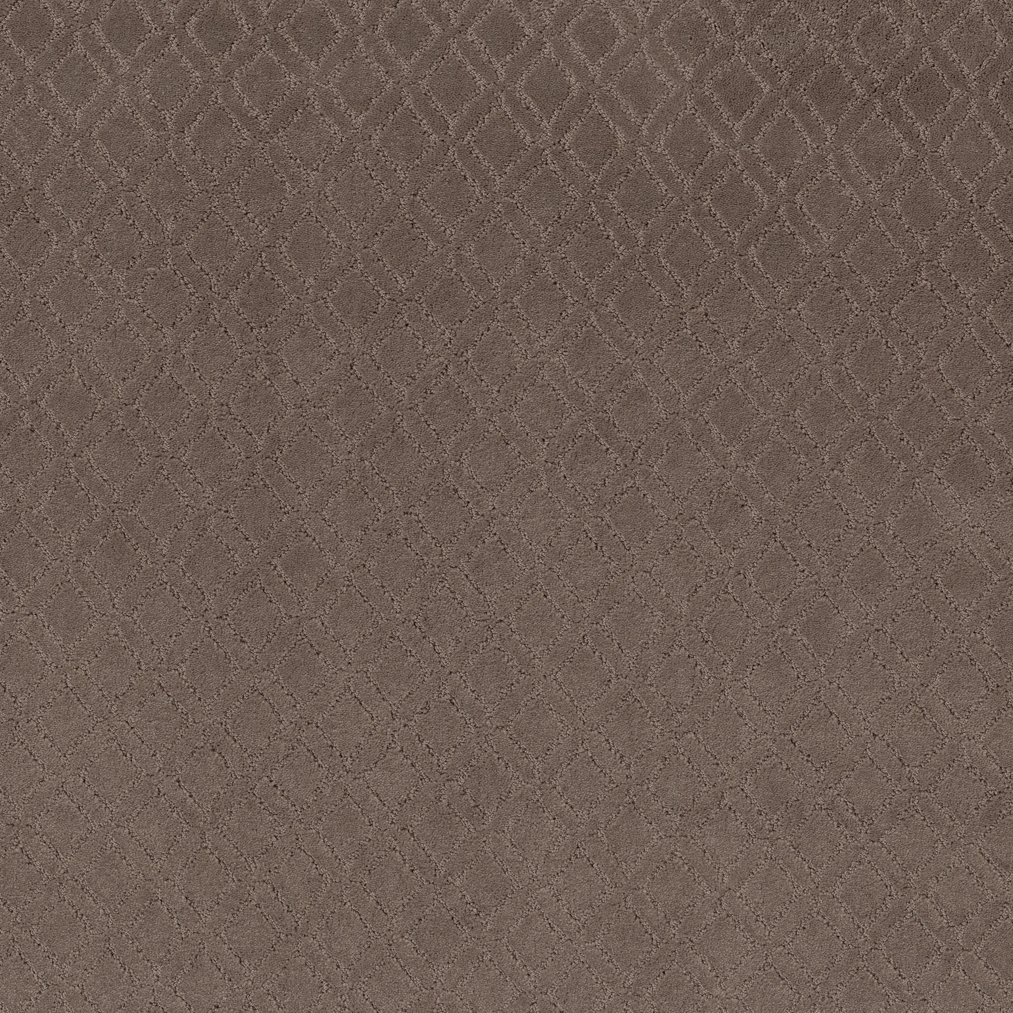 Masterplan - Chantrelle - ZZL78_00857