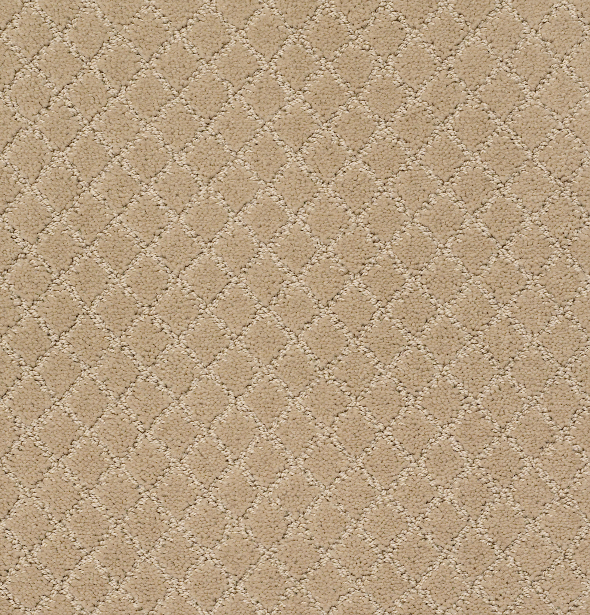 Off Leash-Monterey-ZZL80_00115