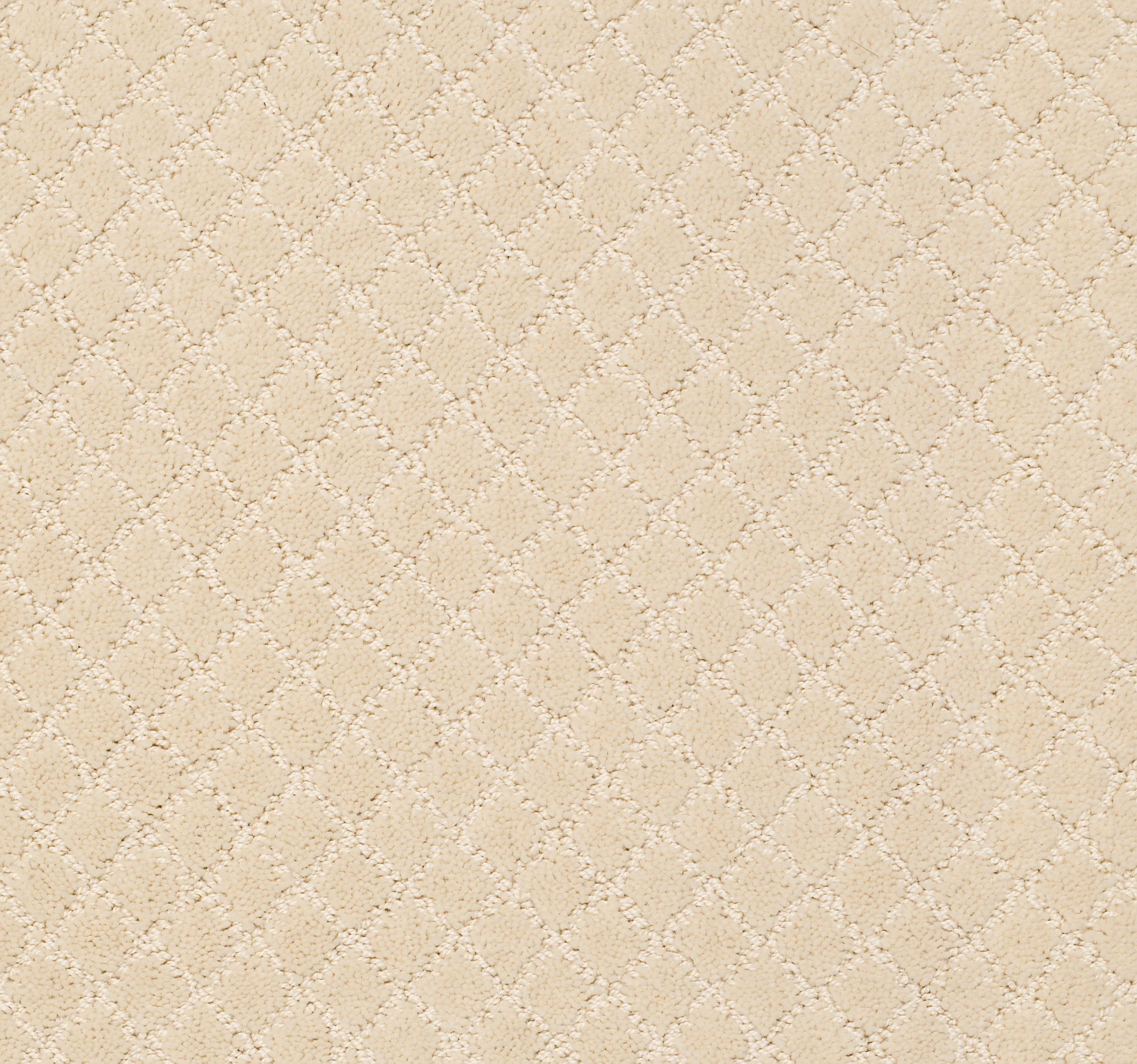 Off Leash-Antiquity-ZZL80_00121