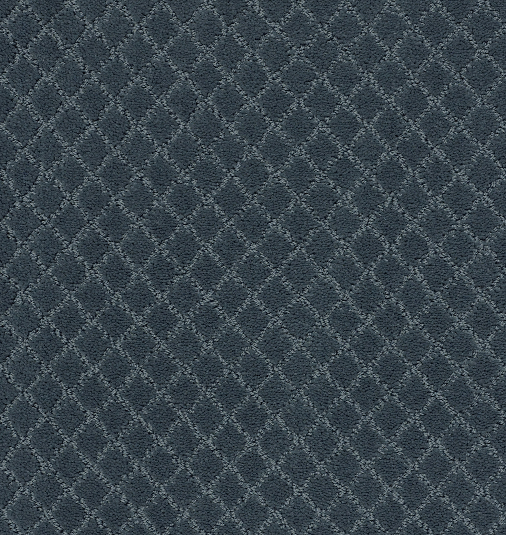 Off Leash-Nimbus-ZZL80_00455