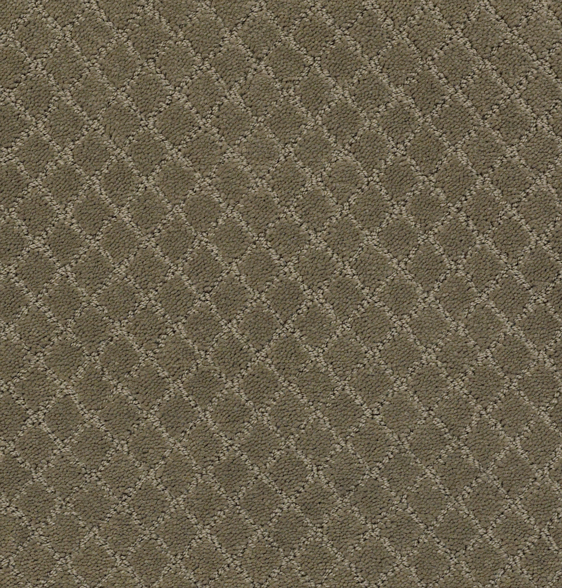 Off Leash-Dry Sage-ZZL80_00536