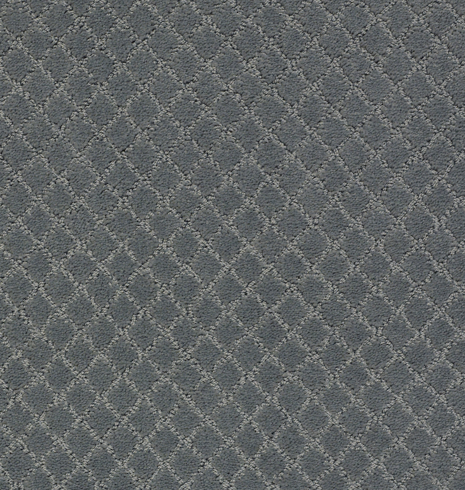 Off Leash-Steel Wool-ZZL80_00545