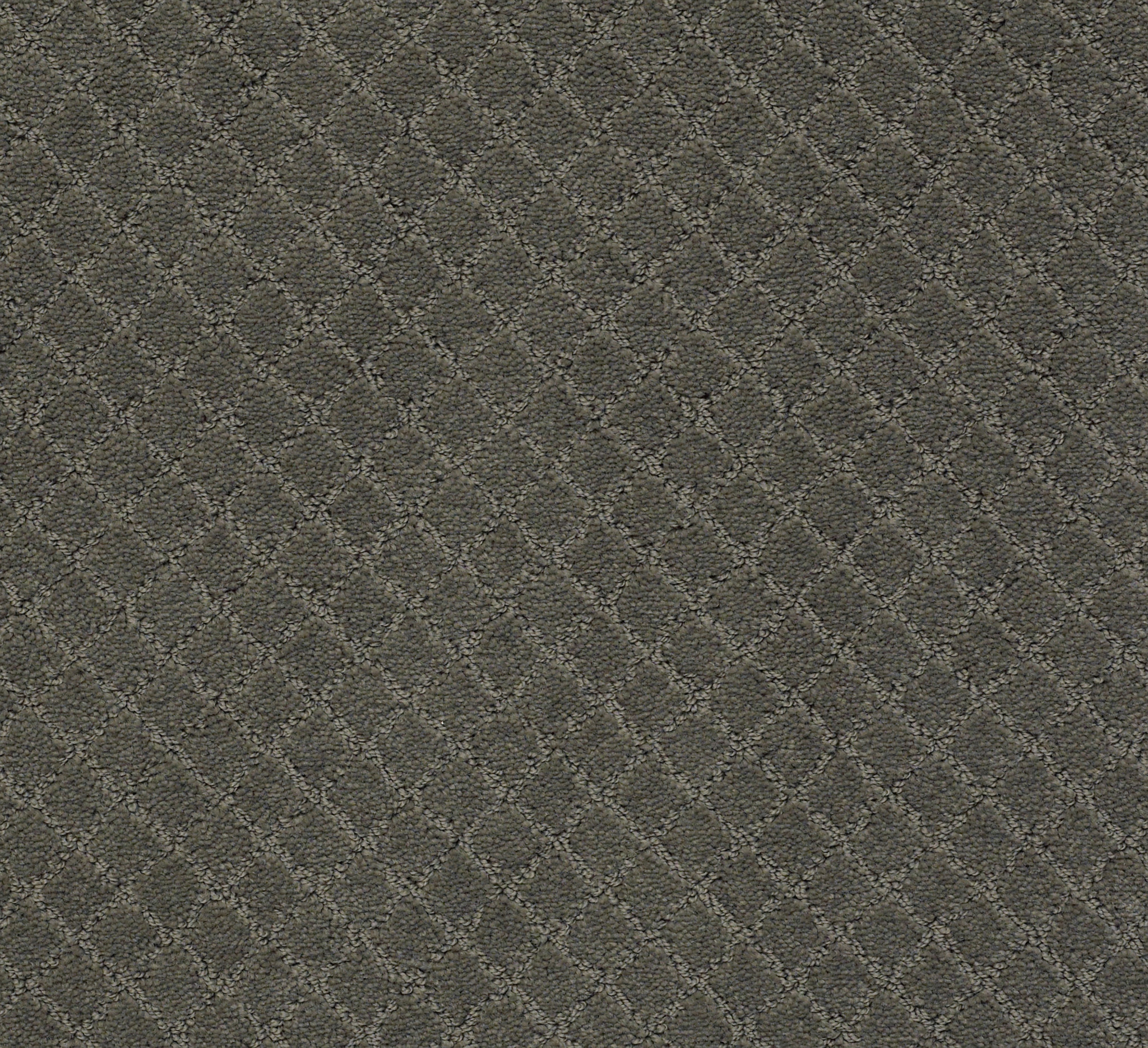 Off Leash-Smoked Oyster-ZZL80_00576